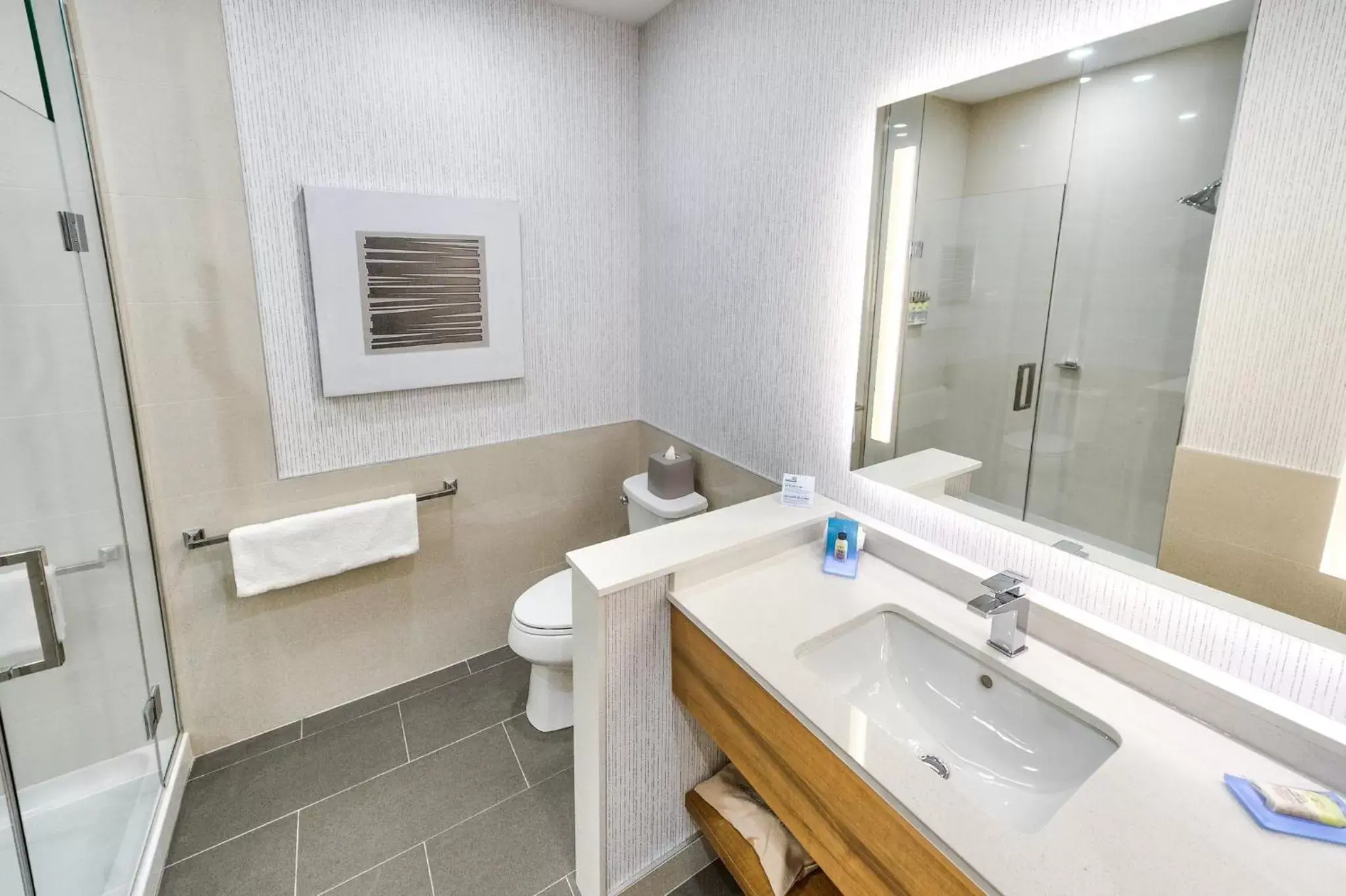 Bathroom in Holiday Inn Express & Suites - Trois Rivieres Ouest, an IHG Hotel