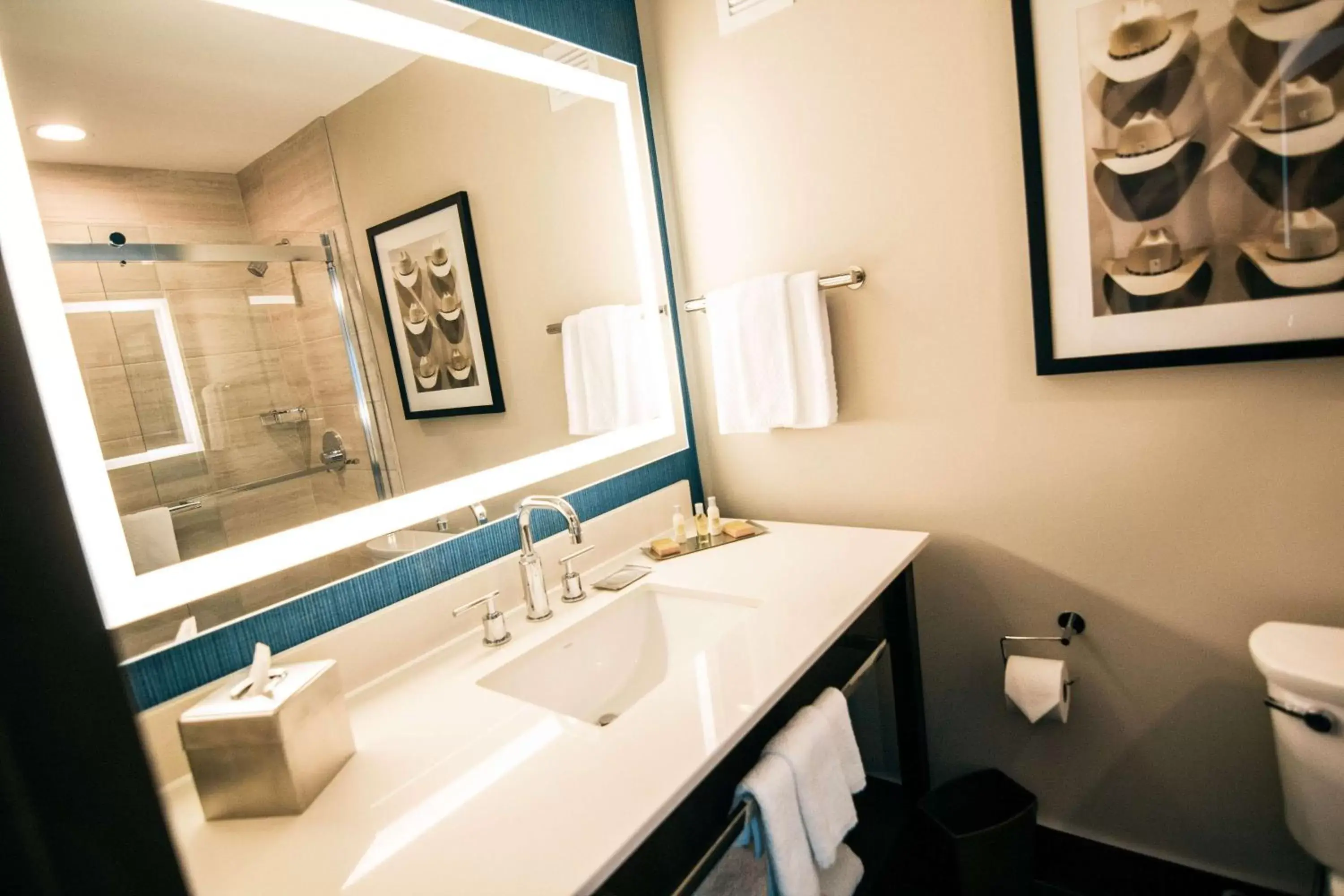 Bathroom in Doubletree By Hilton Lubbock - University Area