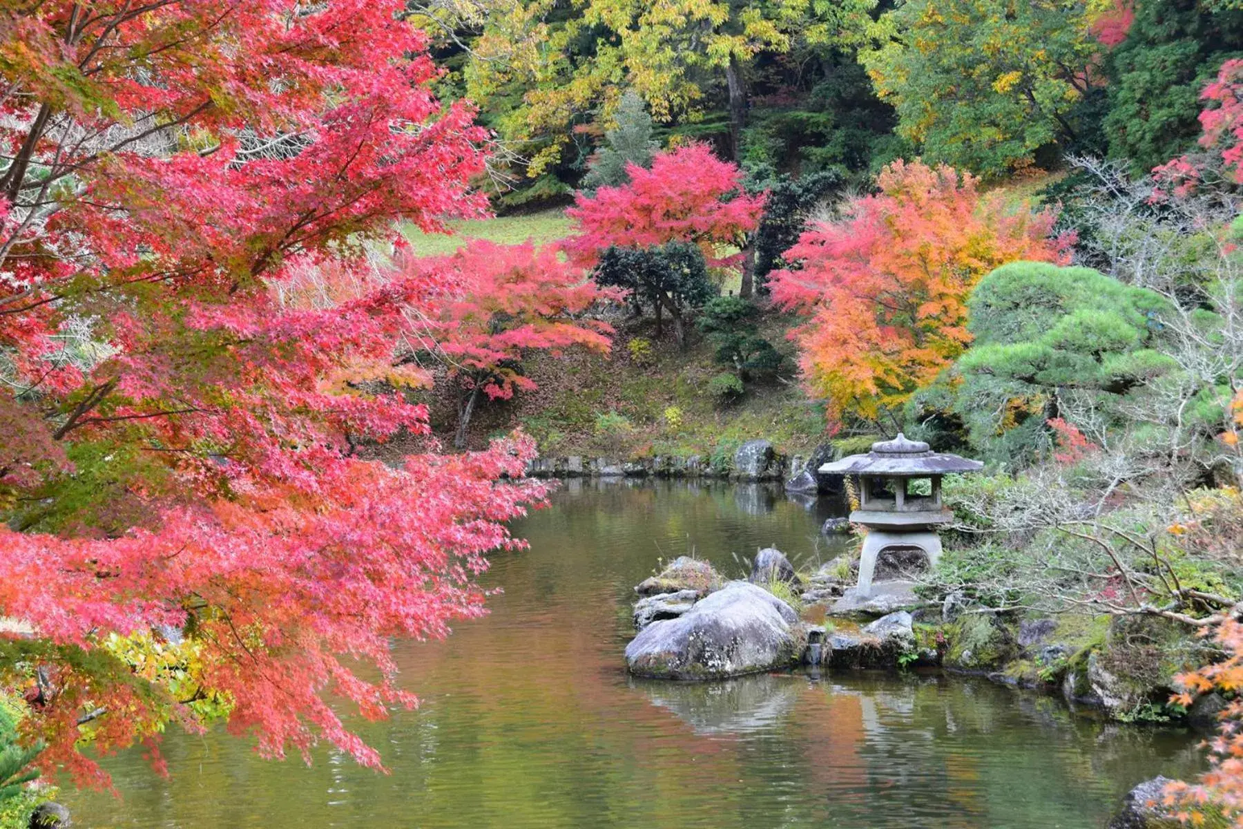 Nearby landmark, Natural Landscape in Narita U-City Hotel