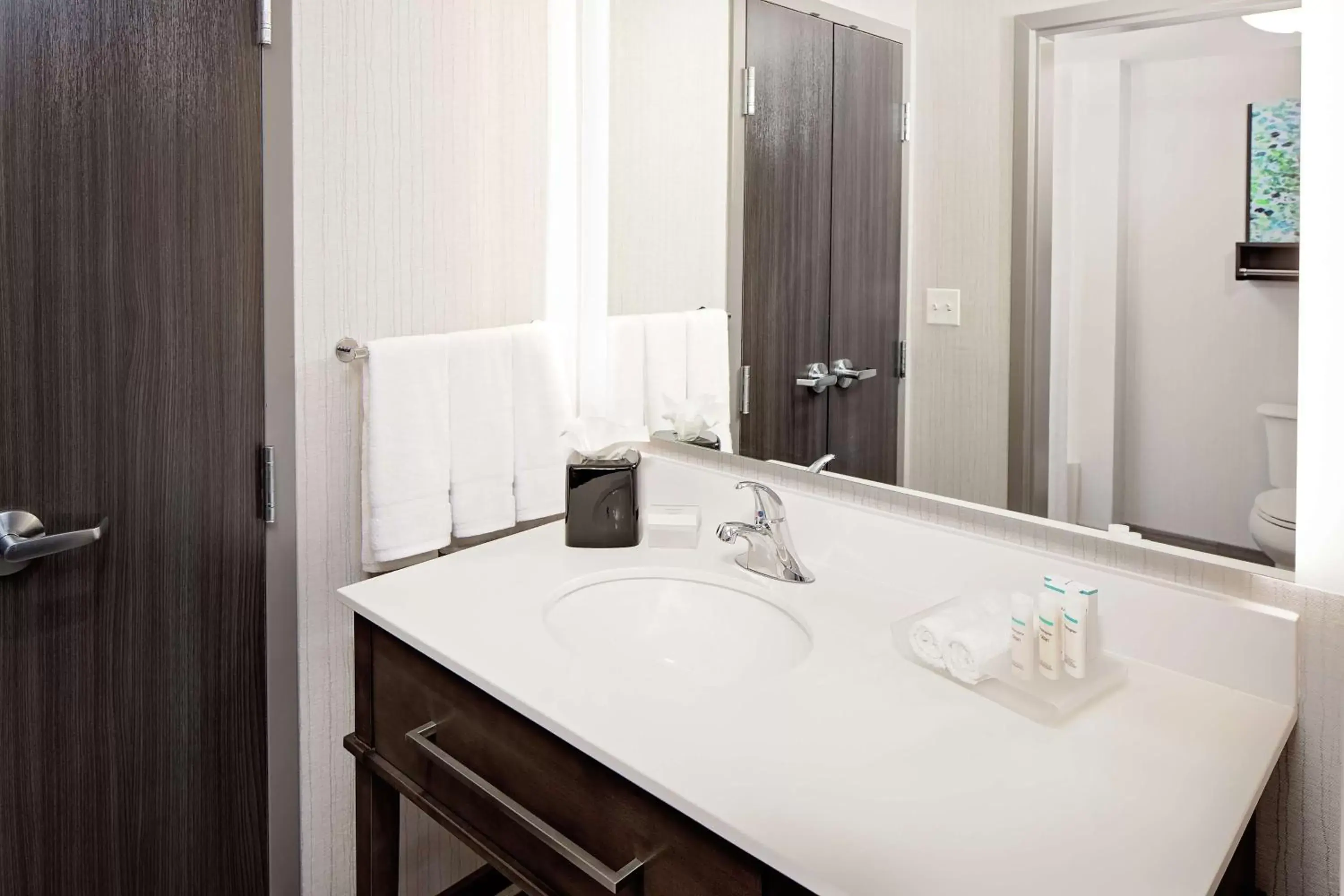 Photo of the whole room, Bathroom in Homewood Suites By Hilton Ronkonkoma