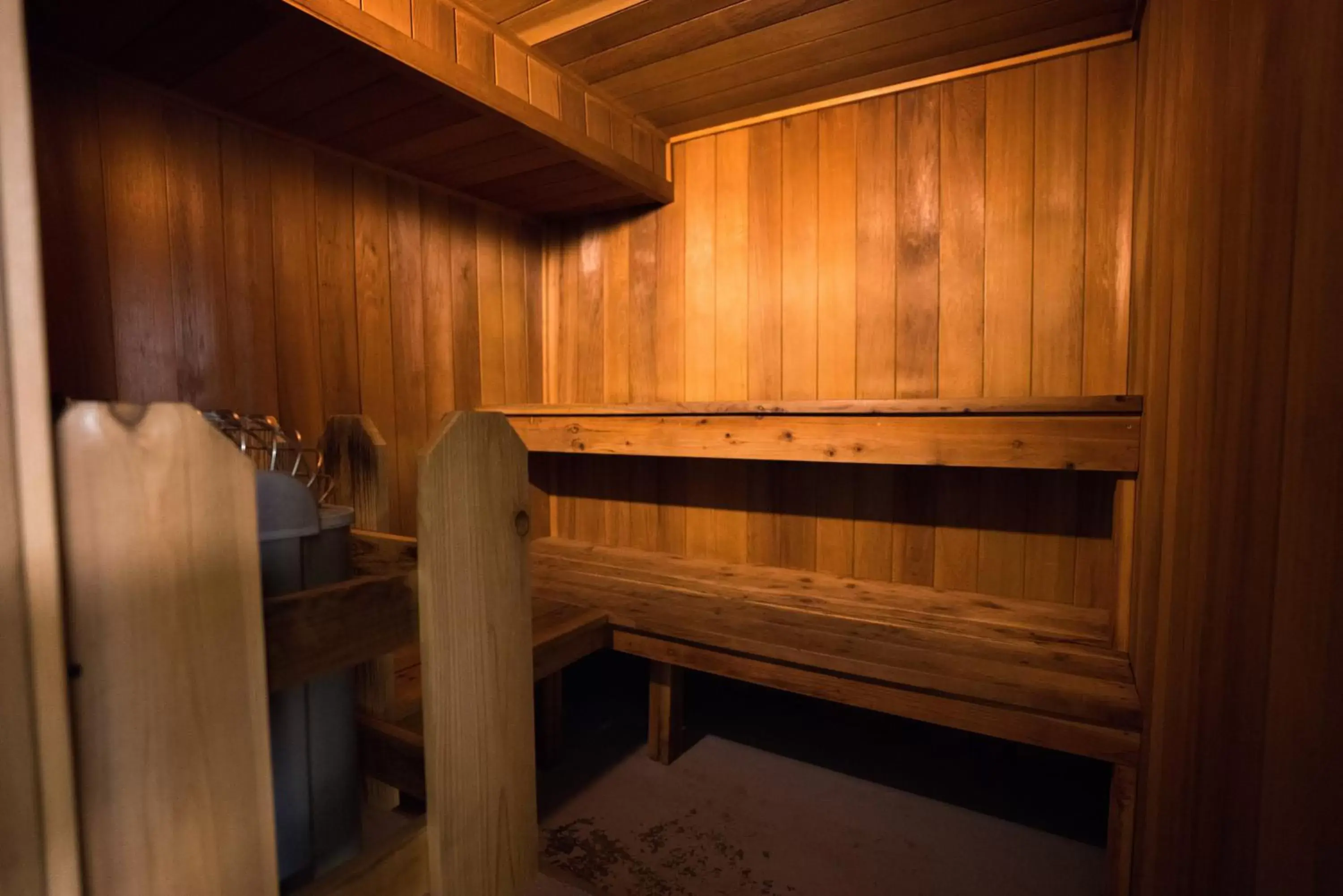 Sauna in The Pollard Hotel