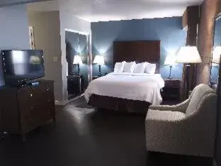 King Suite with Walk-In Shower - Disability Access in Best Western Pocatello Inn