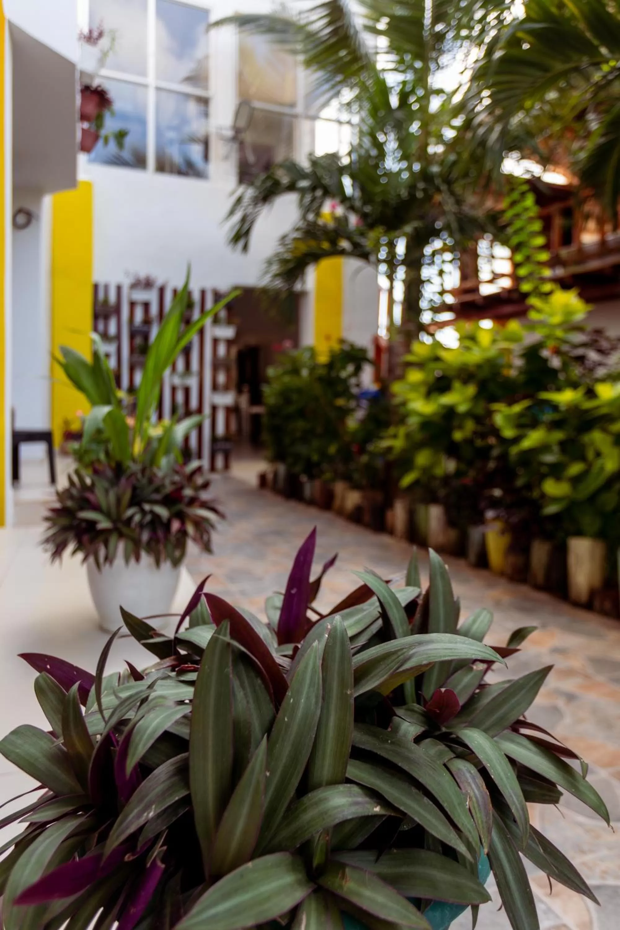 Garden in Canary Nungwi Hotel & Free SPA