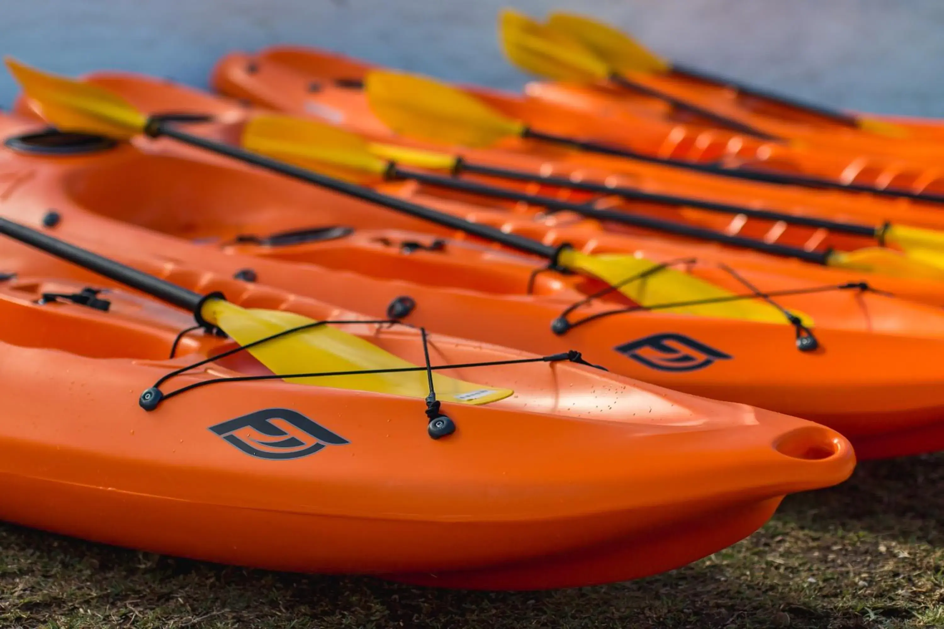 Canoeing in Amanzi Island Boutique Hotel