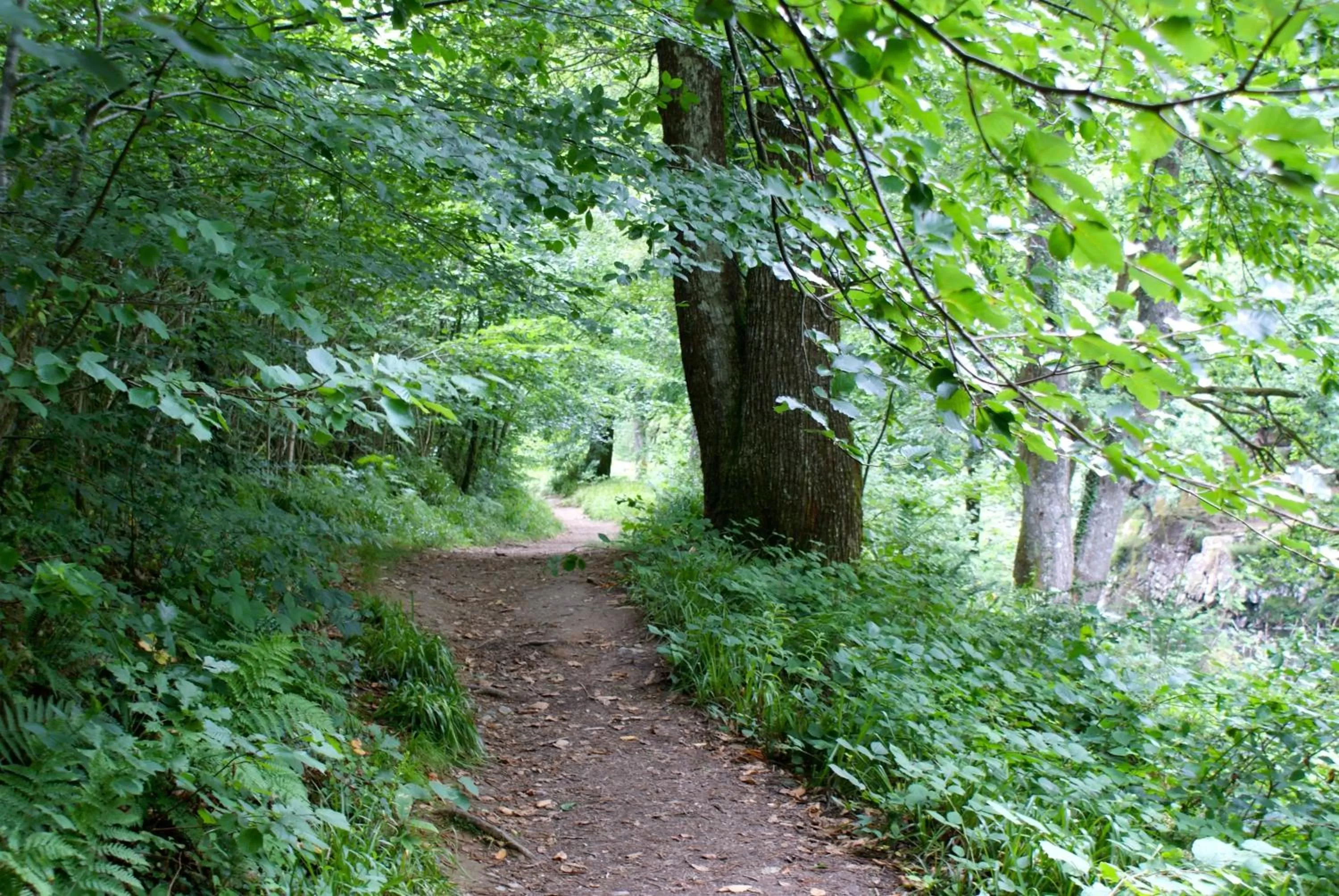 Other in Glan Aber Hotel