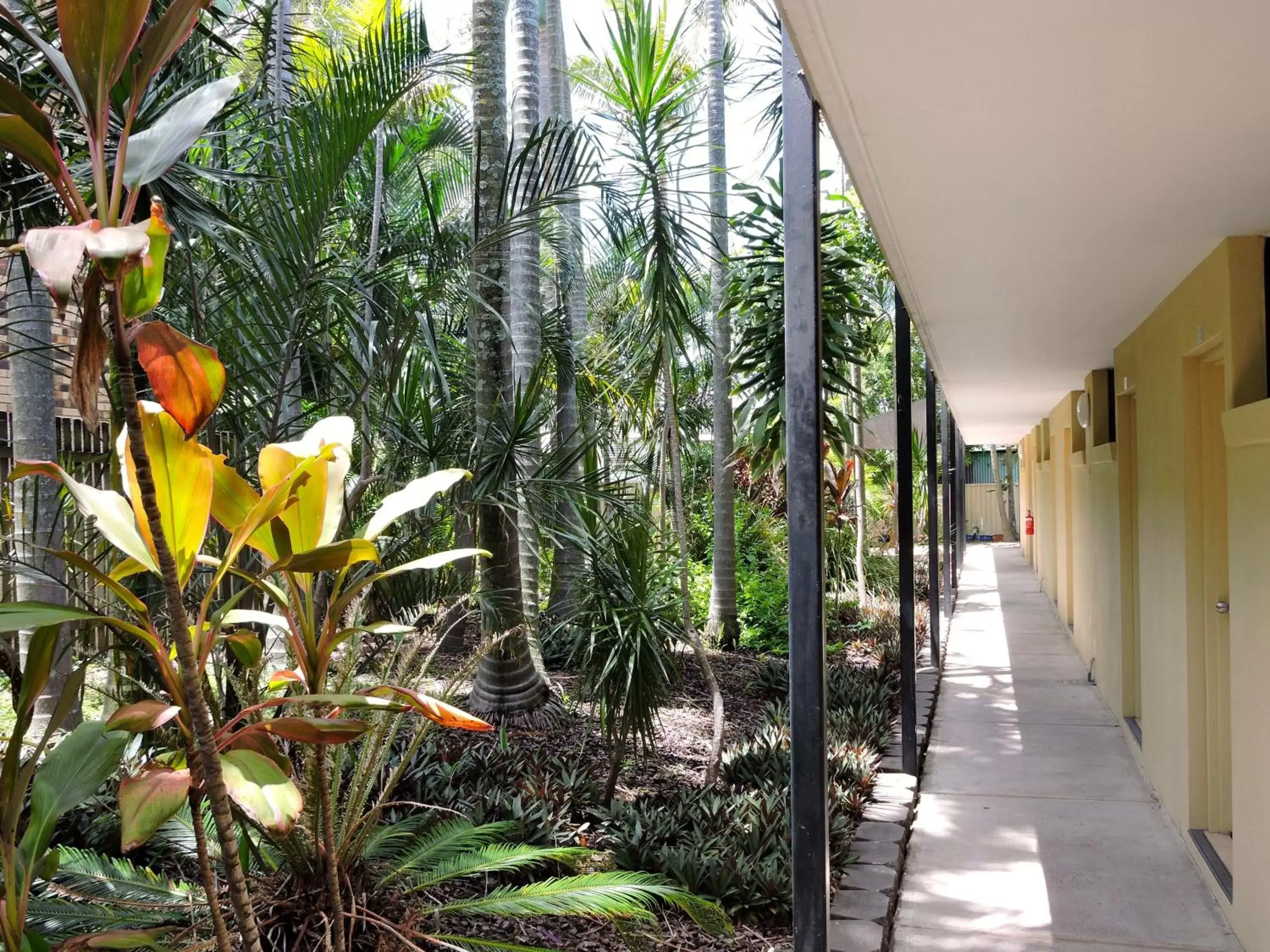 Facade/entrance in Best Western Airport 85 Motel Facade/entrance in Best Western Airport 85 Motel