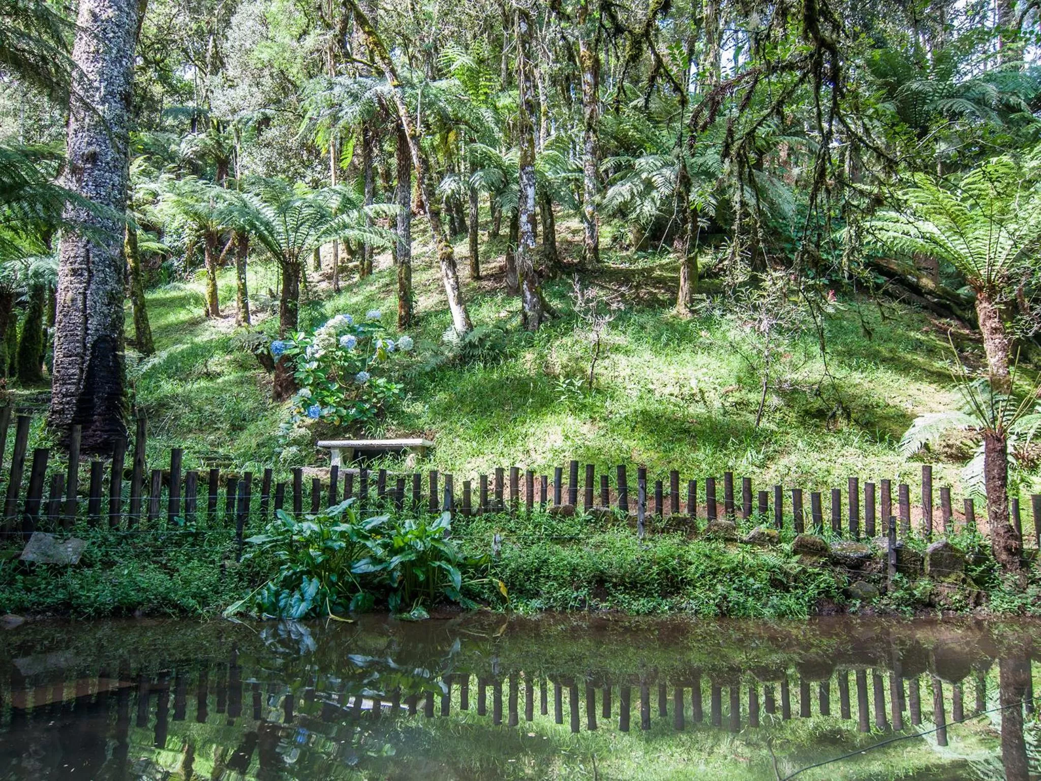 Garden in Pousada Ricanto Amore Mio