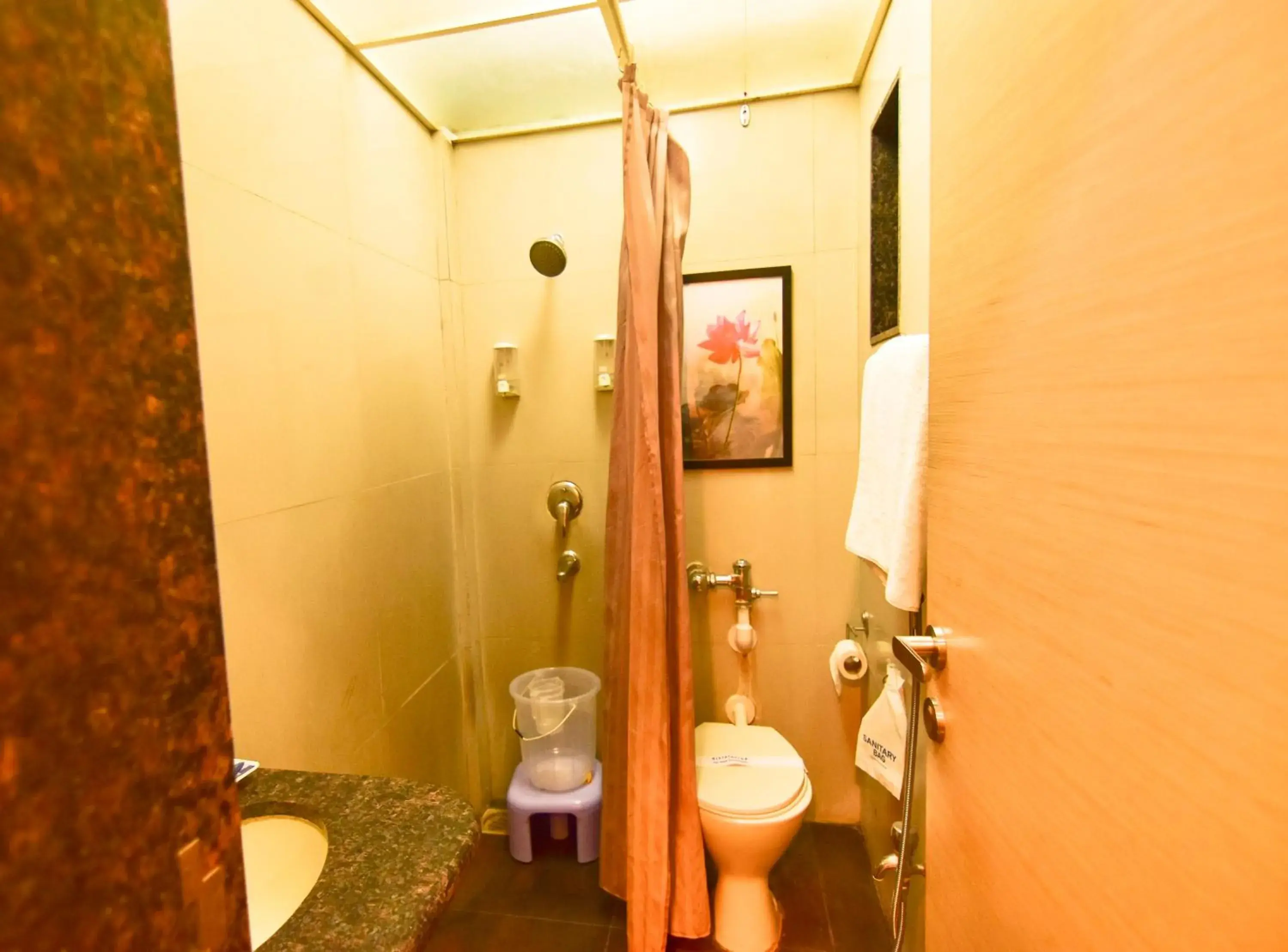 Toilet, Bathroom in MY Bizz Hotel Sapna