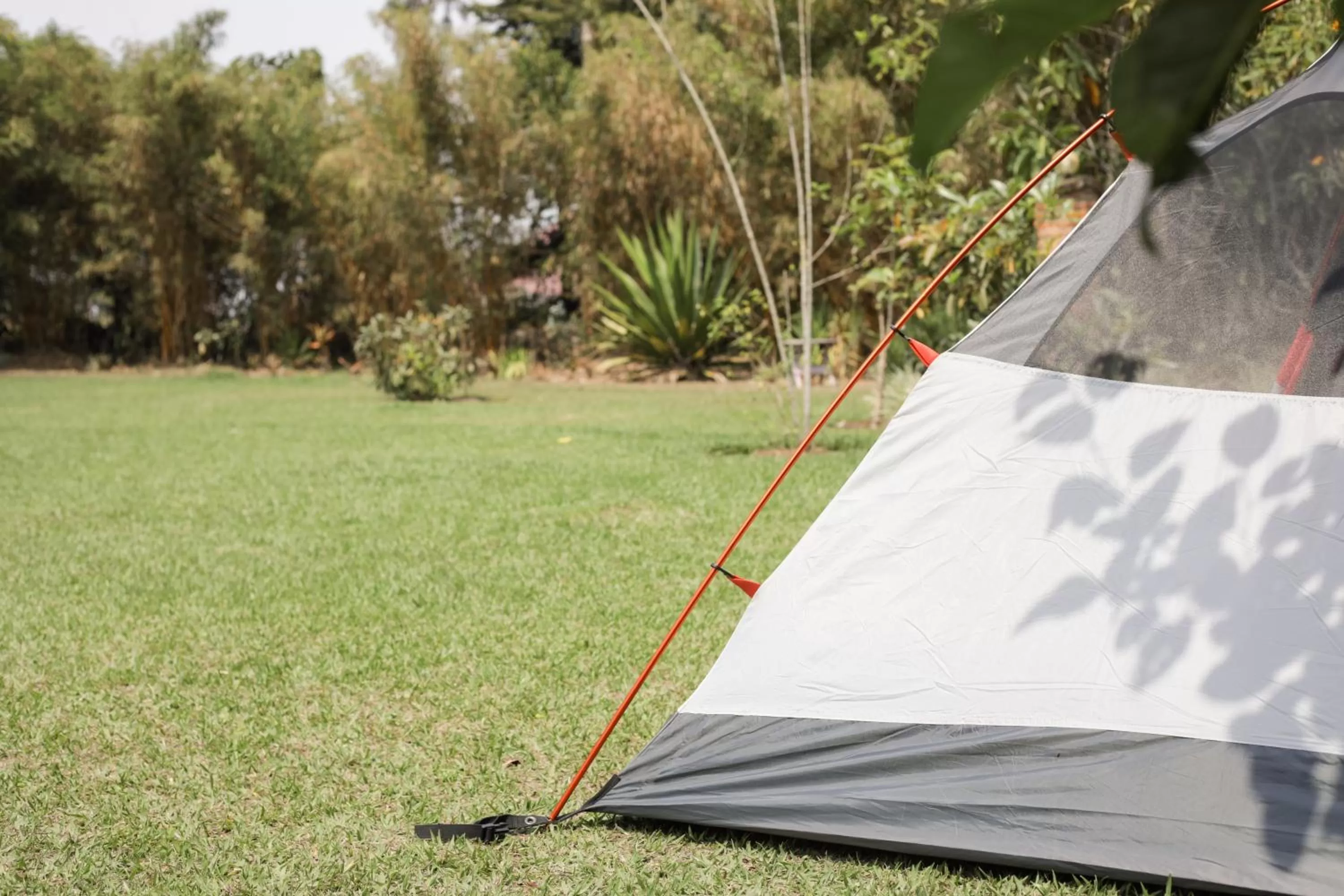 Property building in Fravan Eco Resort By Apogee