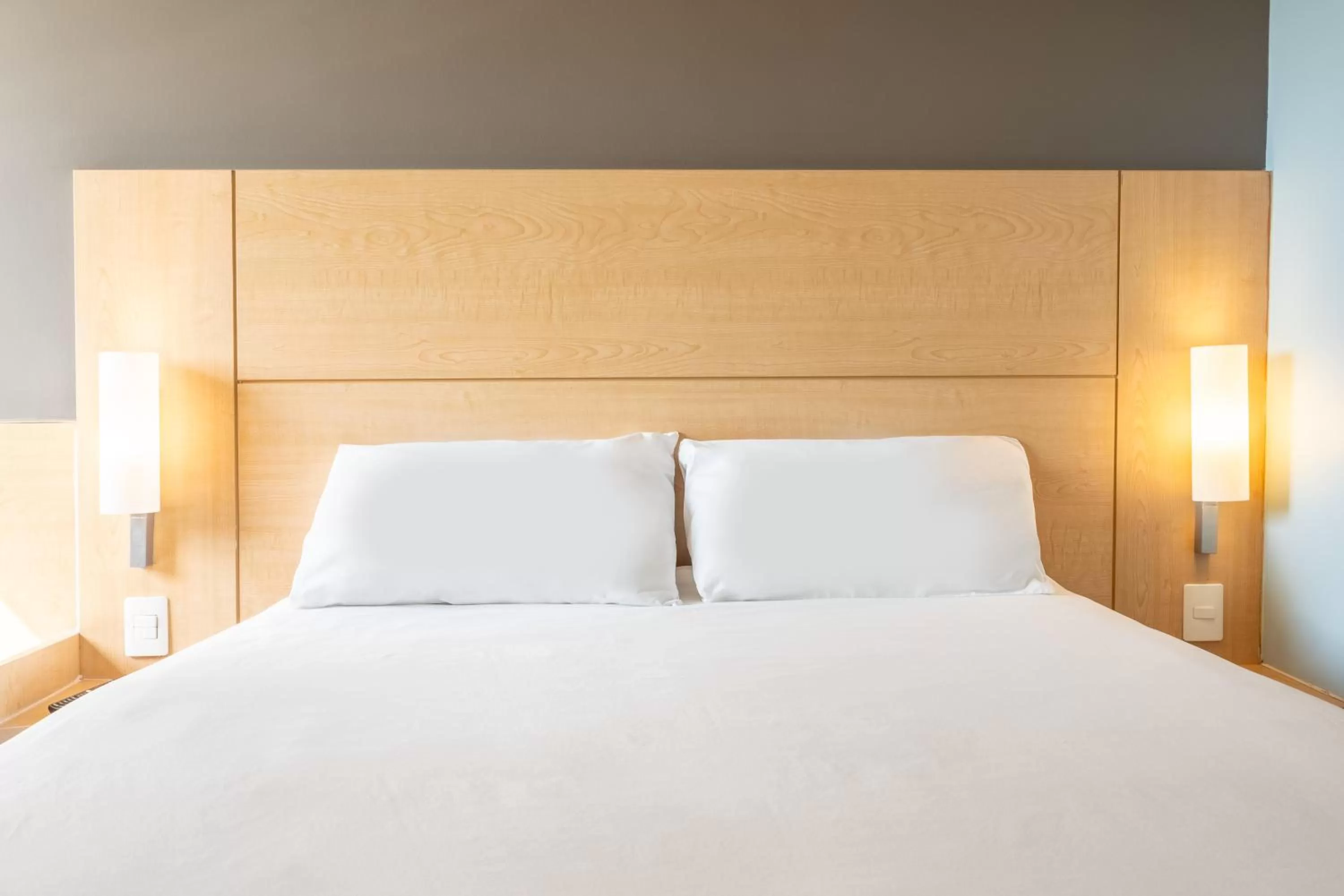 Bed in Ibis Chihuahua