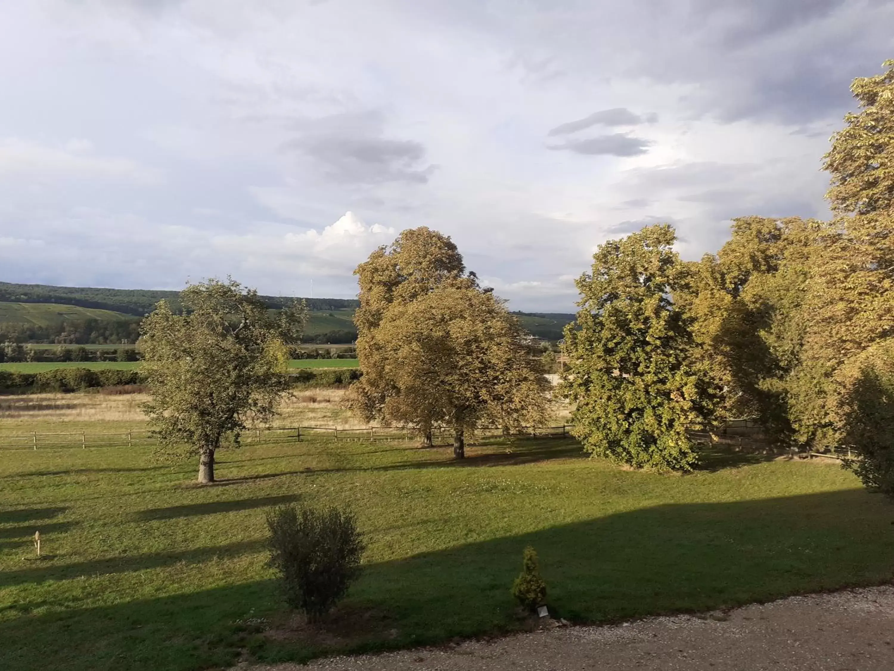 Garden in CHAMBRES D'HOTES DANS DOMAINE DE CHARME A EPERNAY