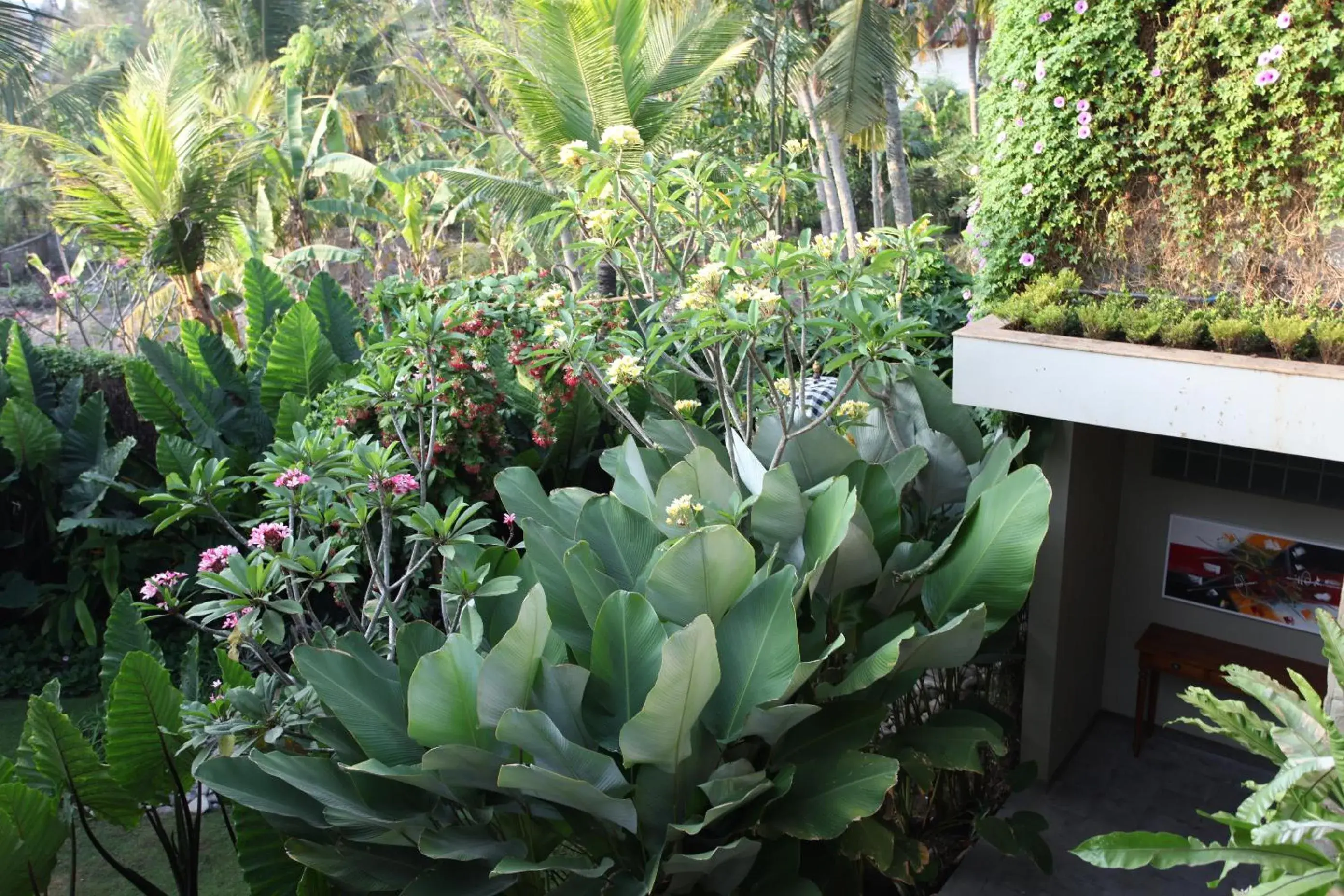 Garden in Ubud Wana Resort