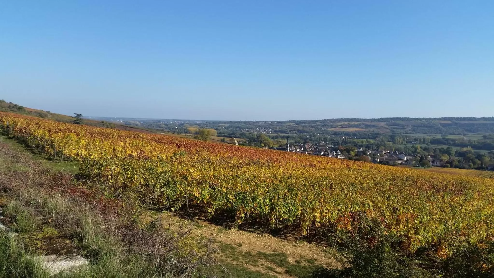 Logis Hôtel de la Tête Noire