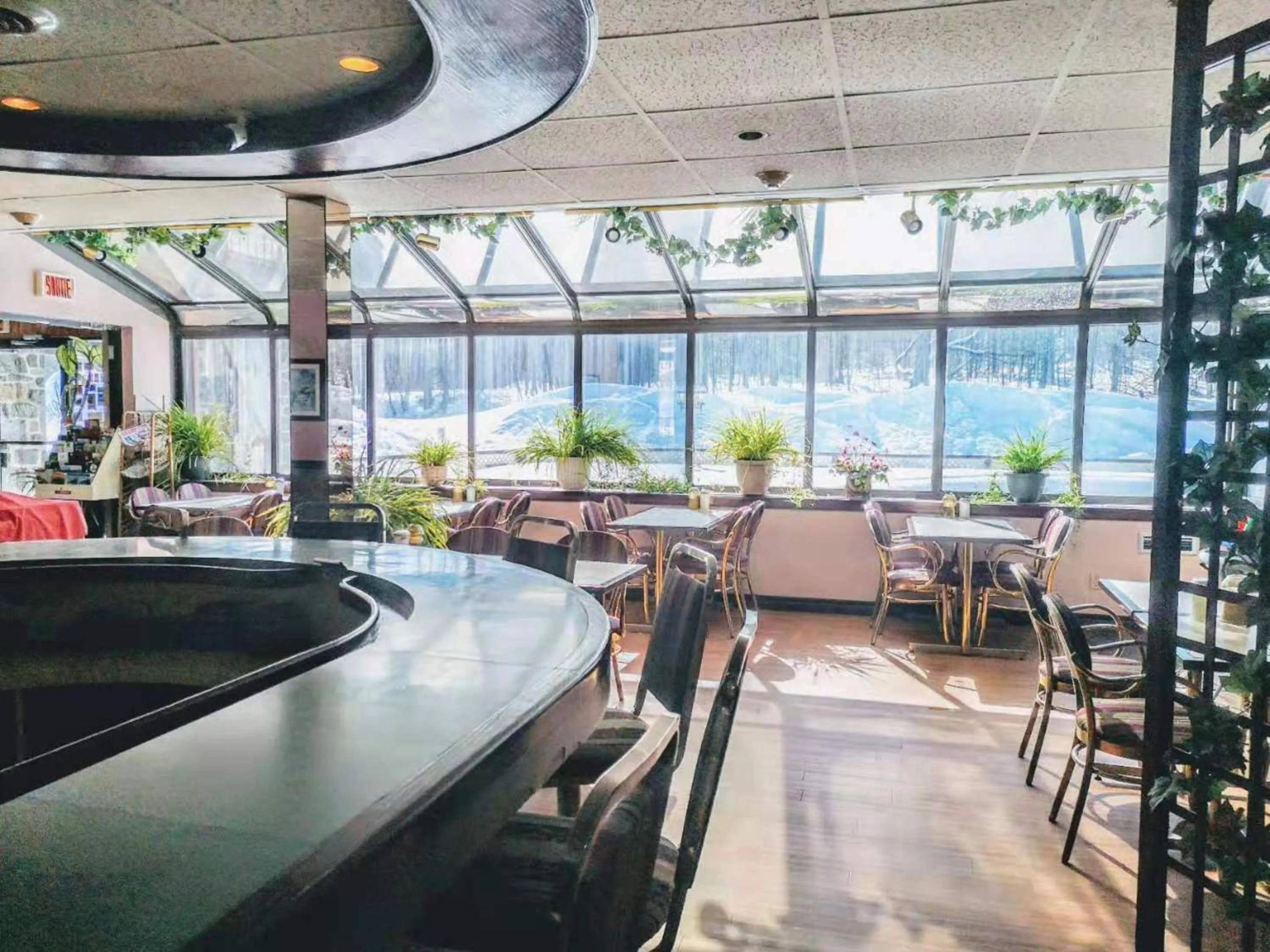 Restaurant/places to eat in Hotel Motel La Marquise