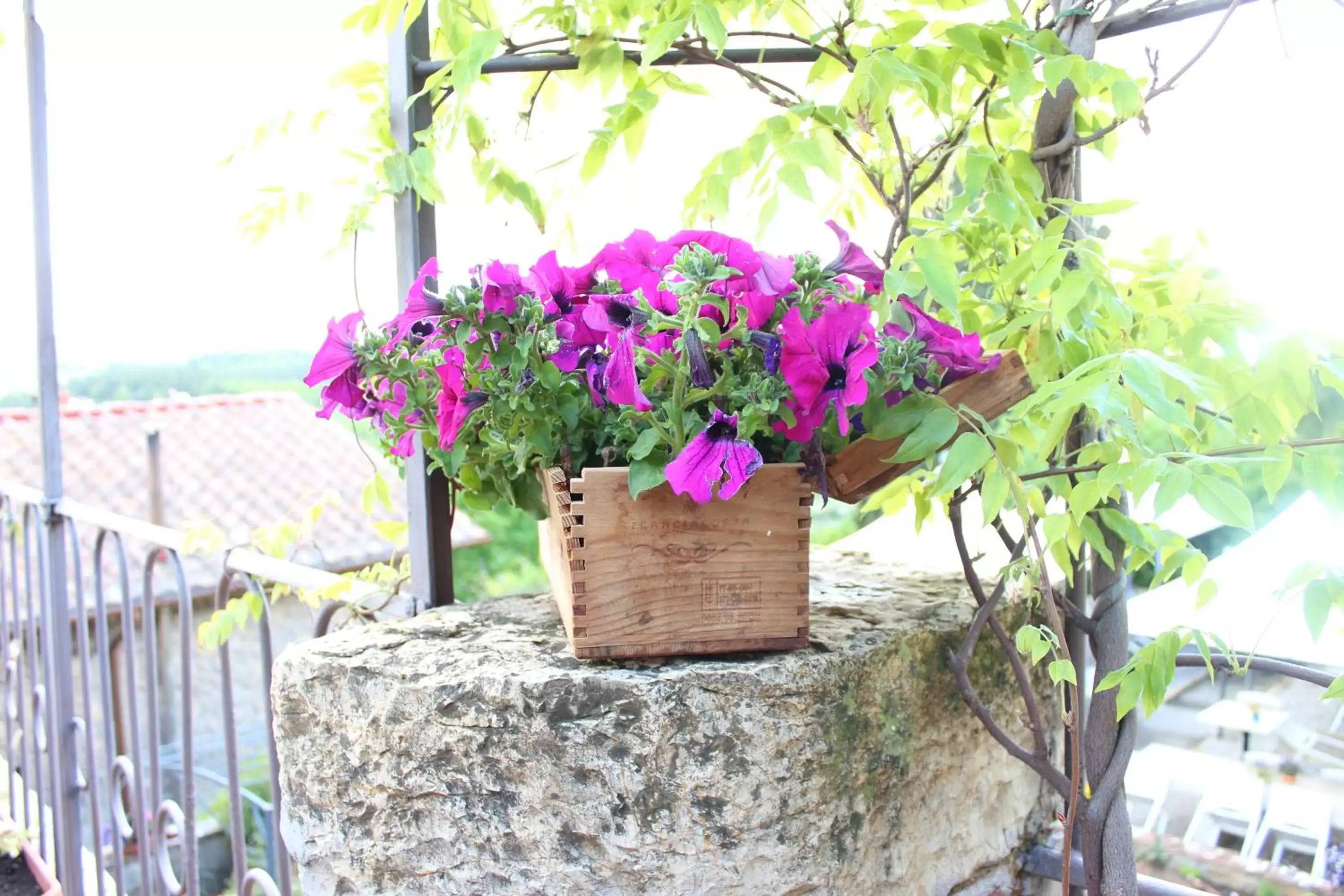 Patio in Le Terrazze Del Chianti