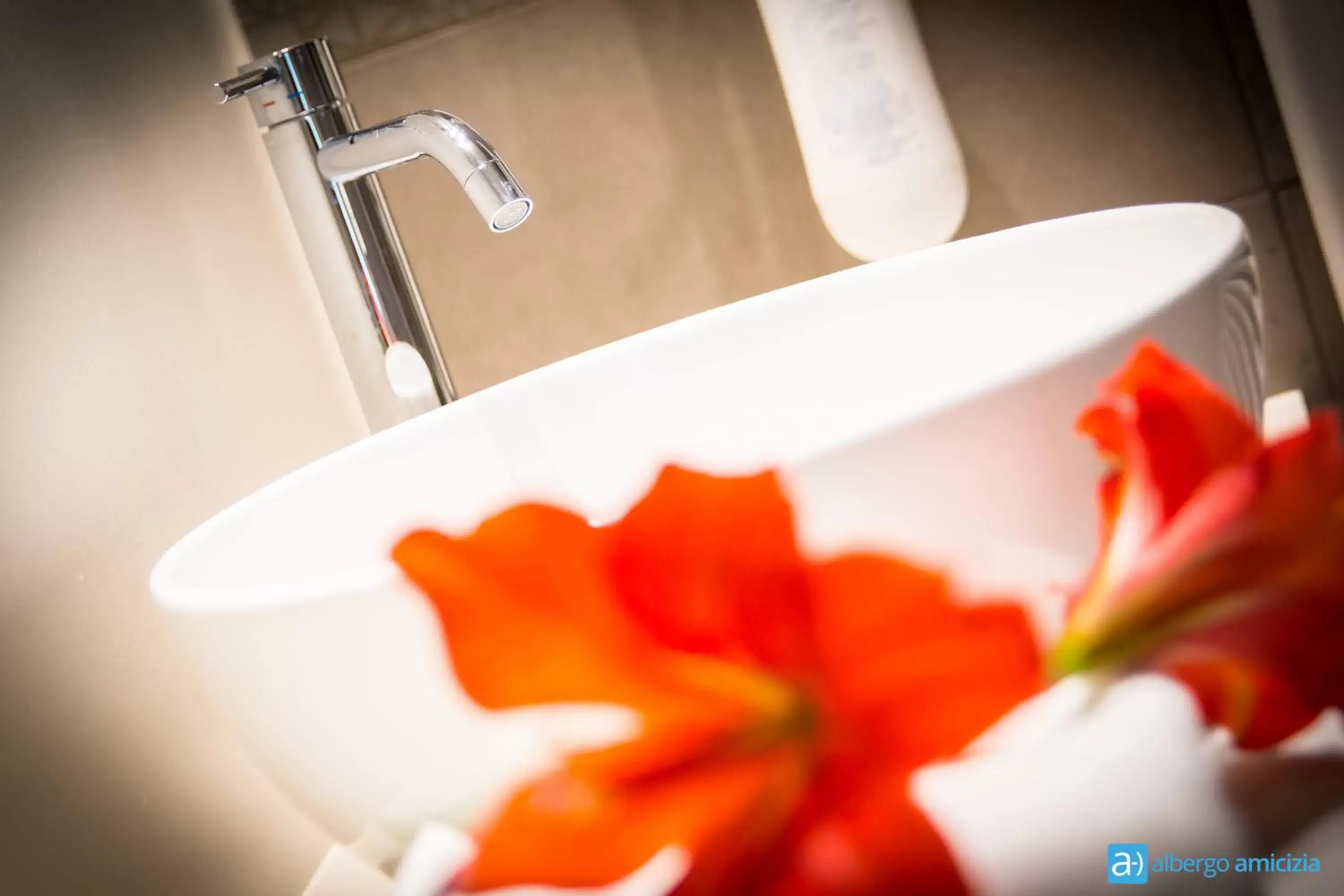 Decorative detail, Bathroom in Hotel Amicizia