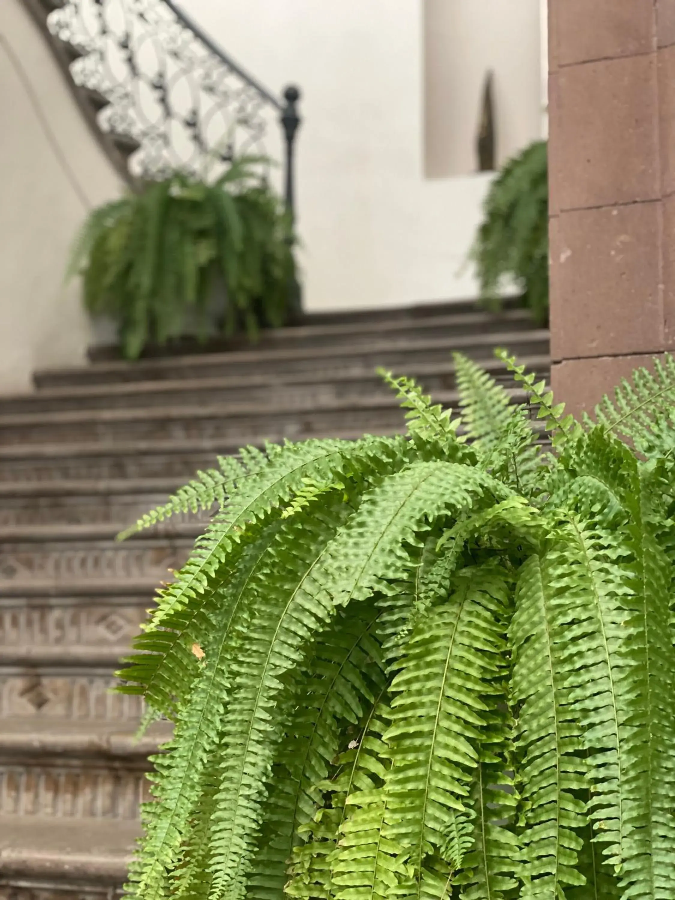 Patio in Markee Hotel Boutique