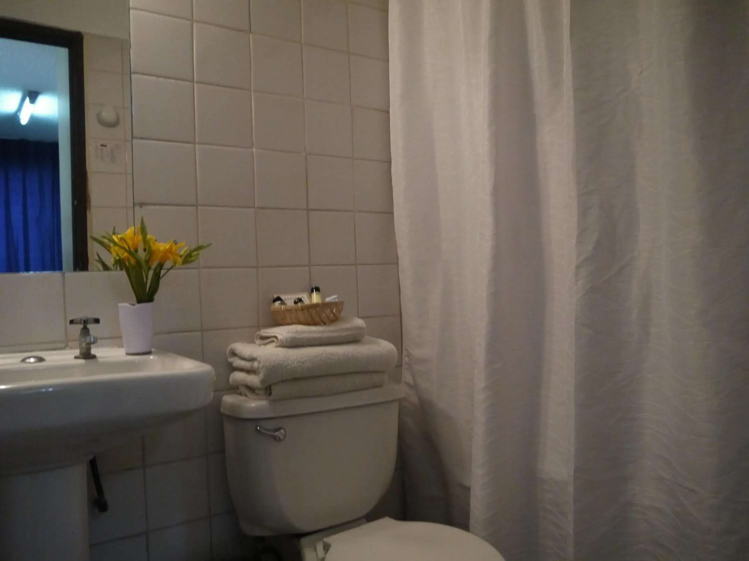 Toilet, Bathroom in Hostal Americano