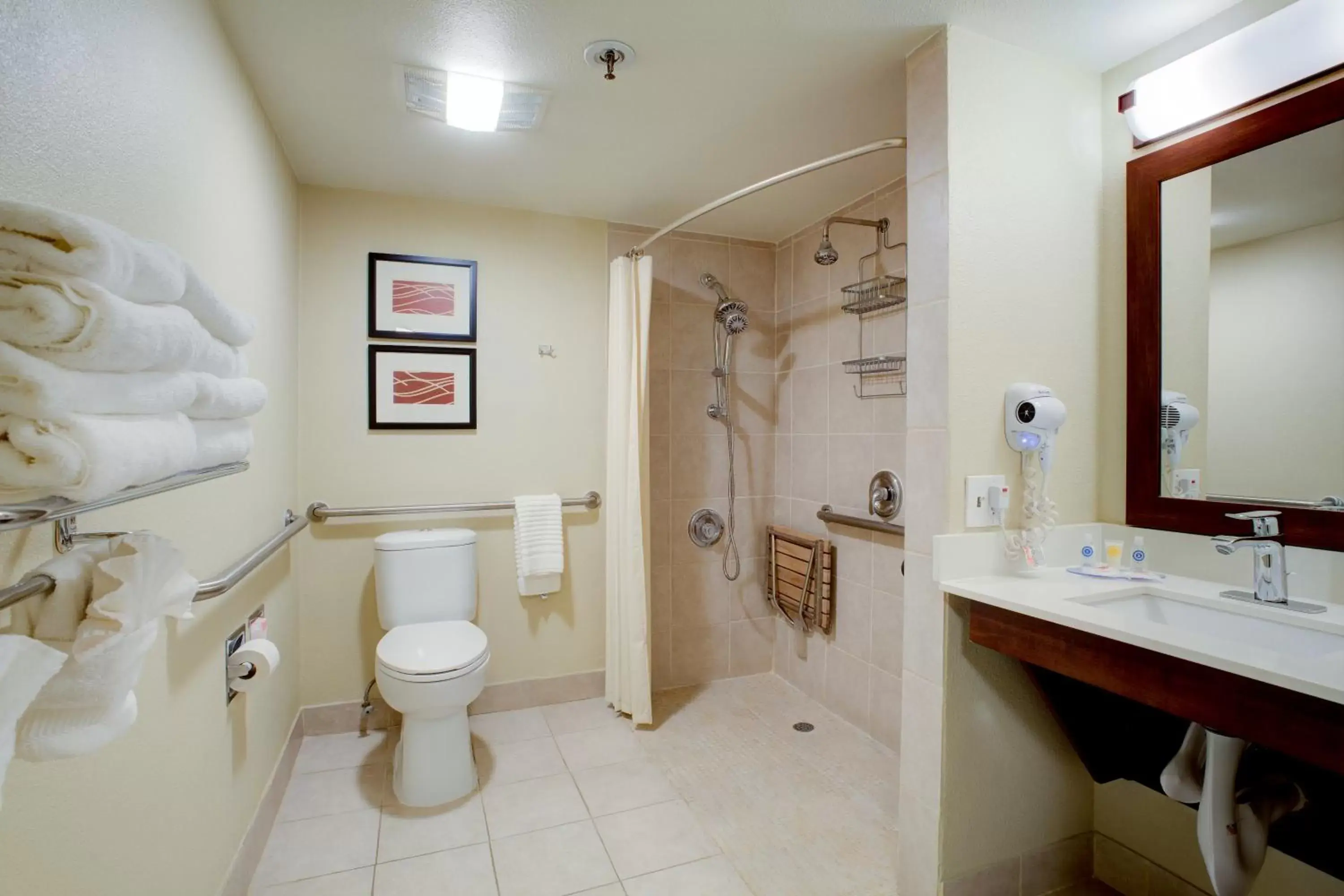 Shower, Bathroom in Comfort Inn Sunnyvale – Silicon Valley