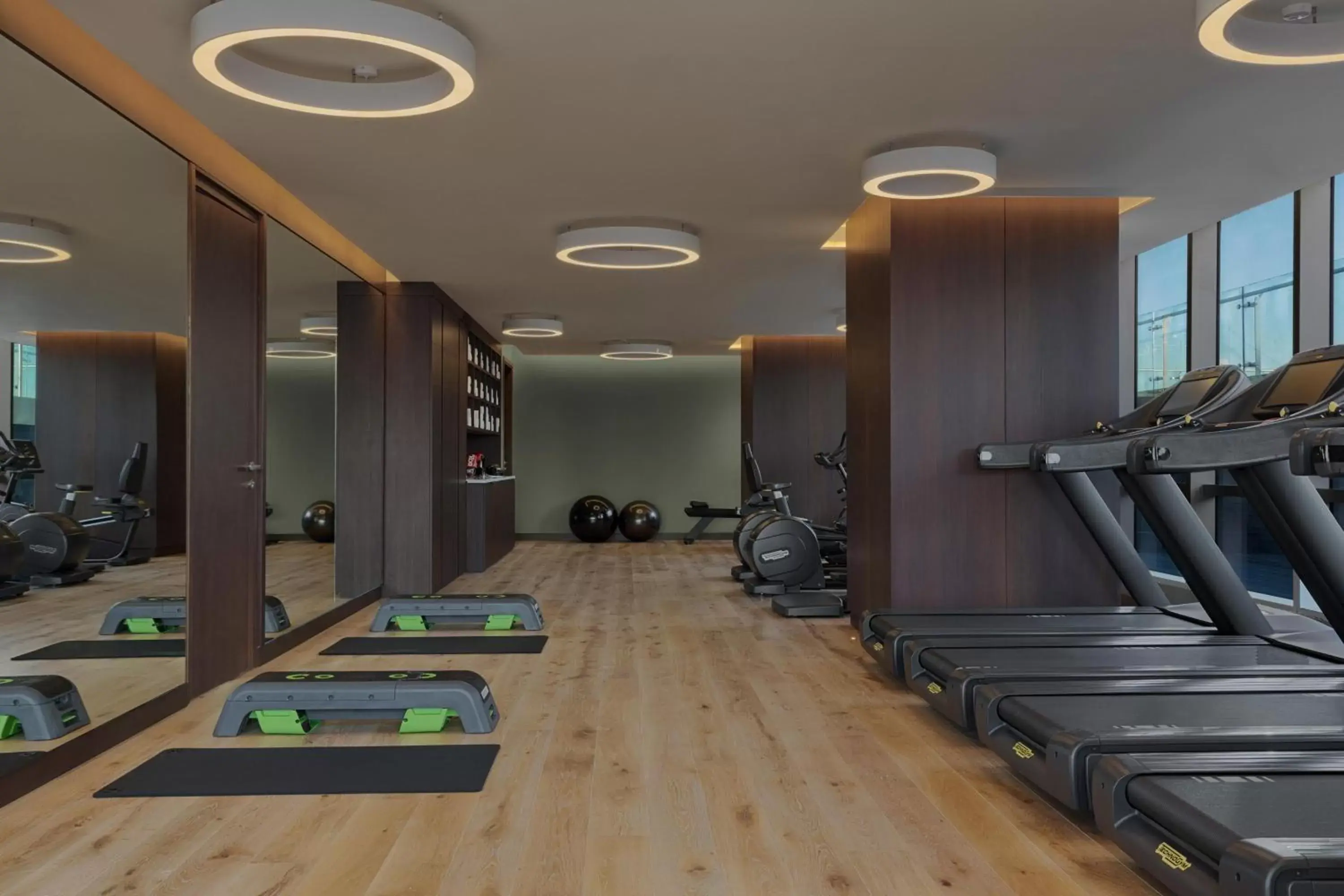 Fitness centre/facilities, Fitness Center/Facilities in Le Meridien Batumi