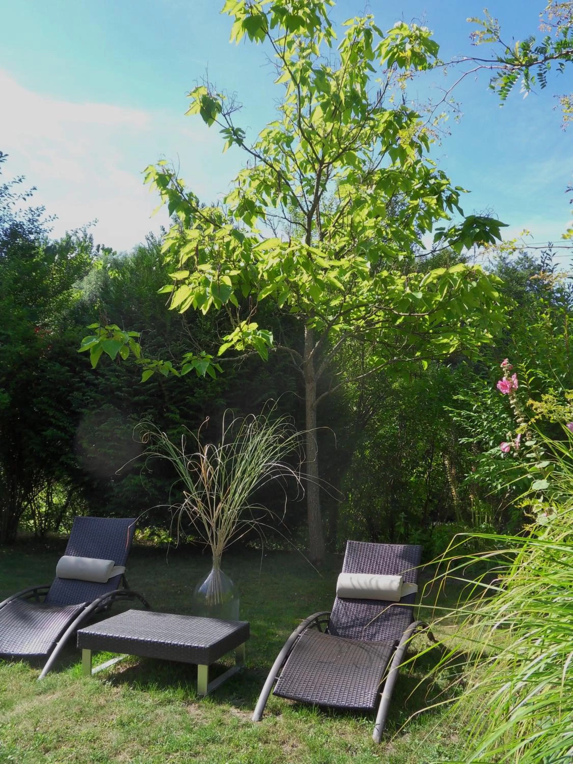 Garden in Troglodelice