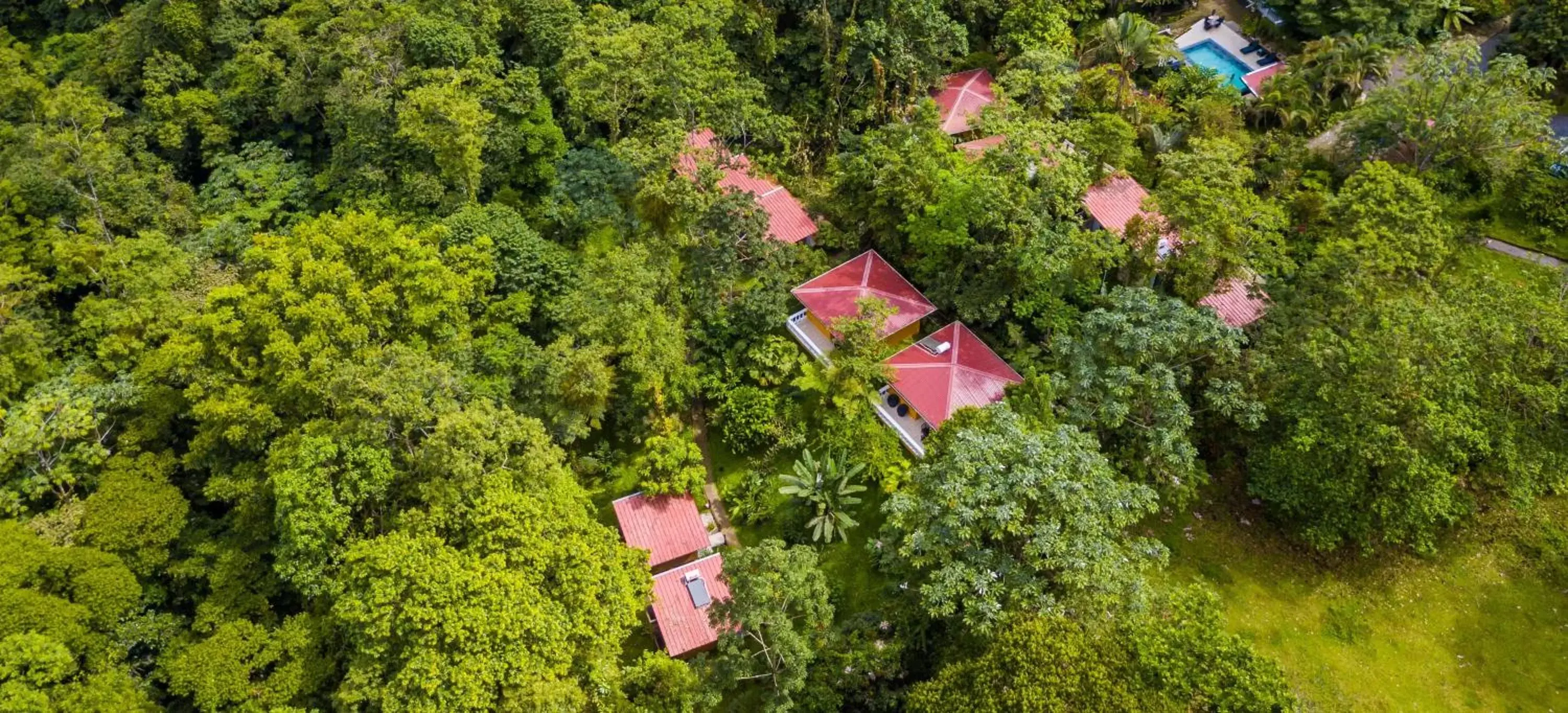 Bird's eye view, Bird's-eye View in Tifakara Boutique Hotel & Birding Oasis