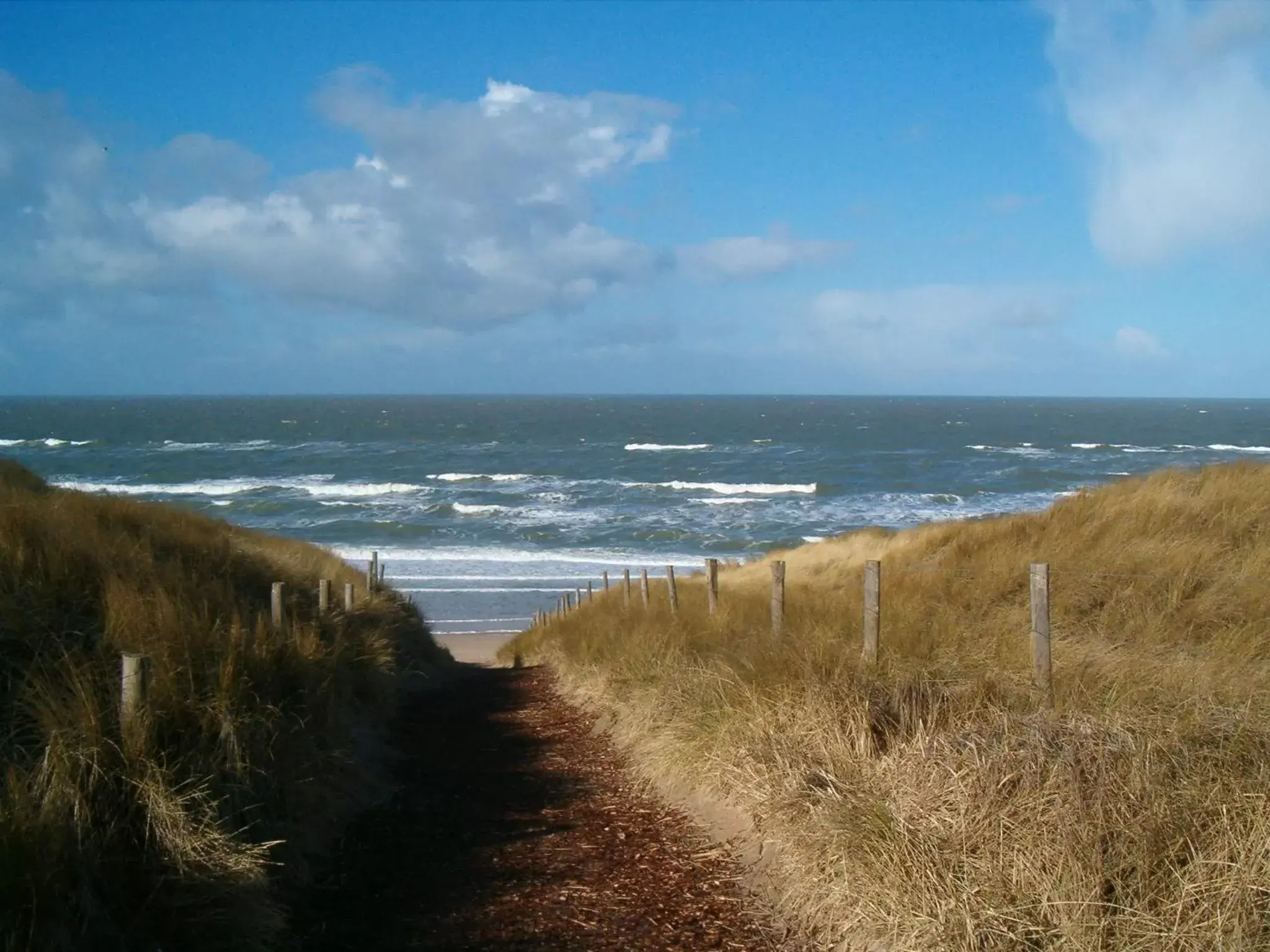 Activities, Natural Landscape in Hotel Huize Koningsbosch