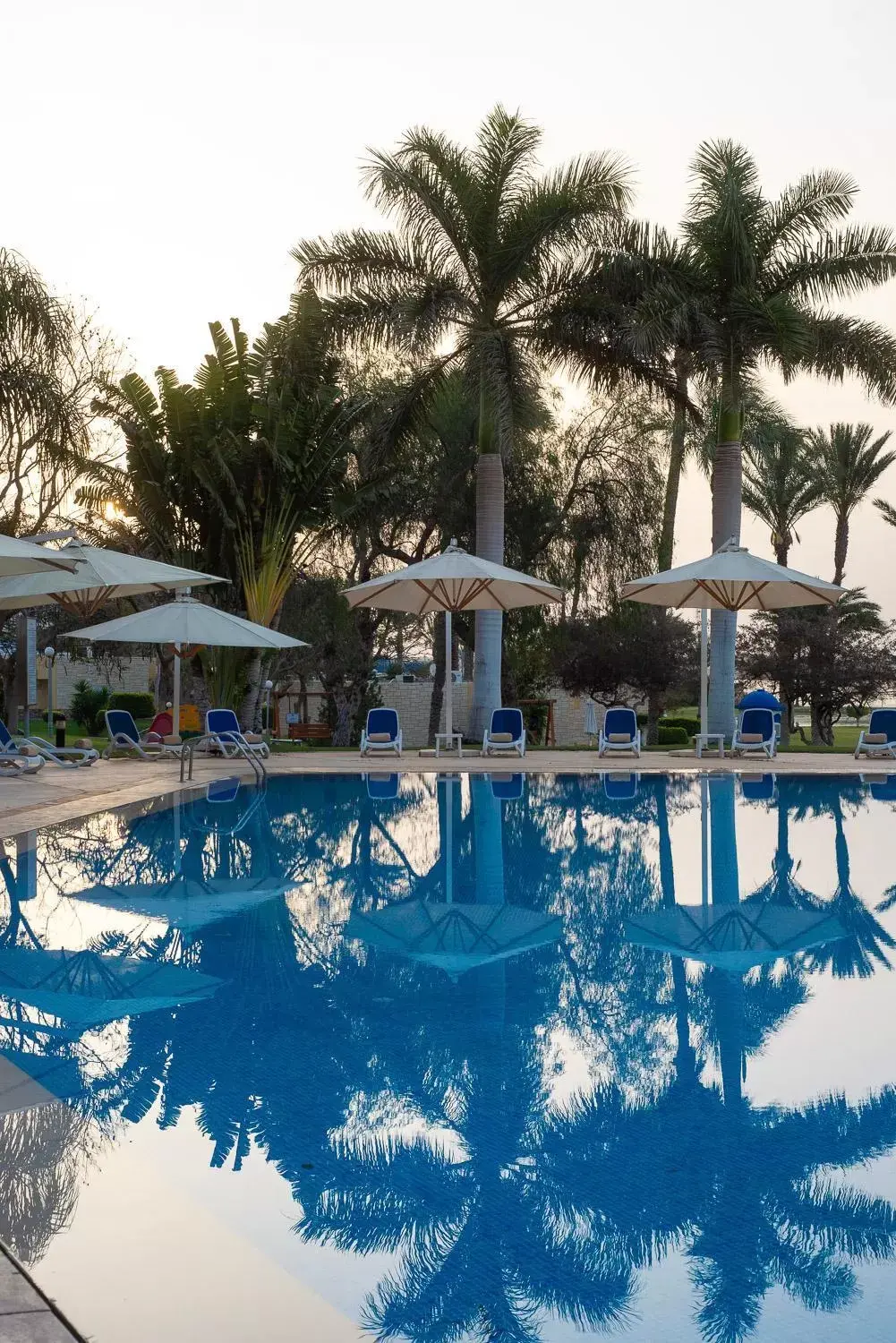 Swimming pool in Mercure Ismailia Forsan Island