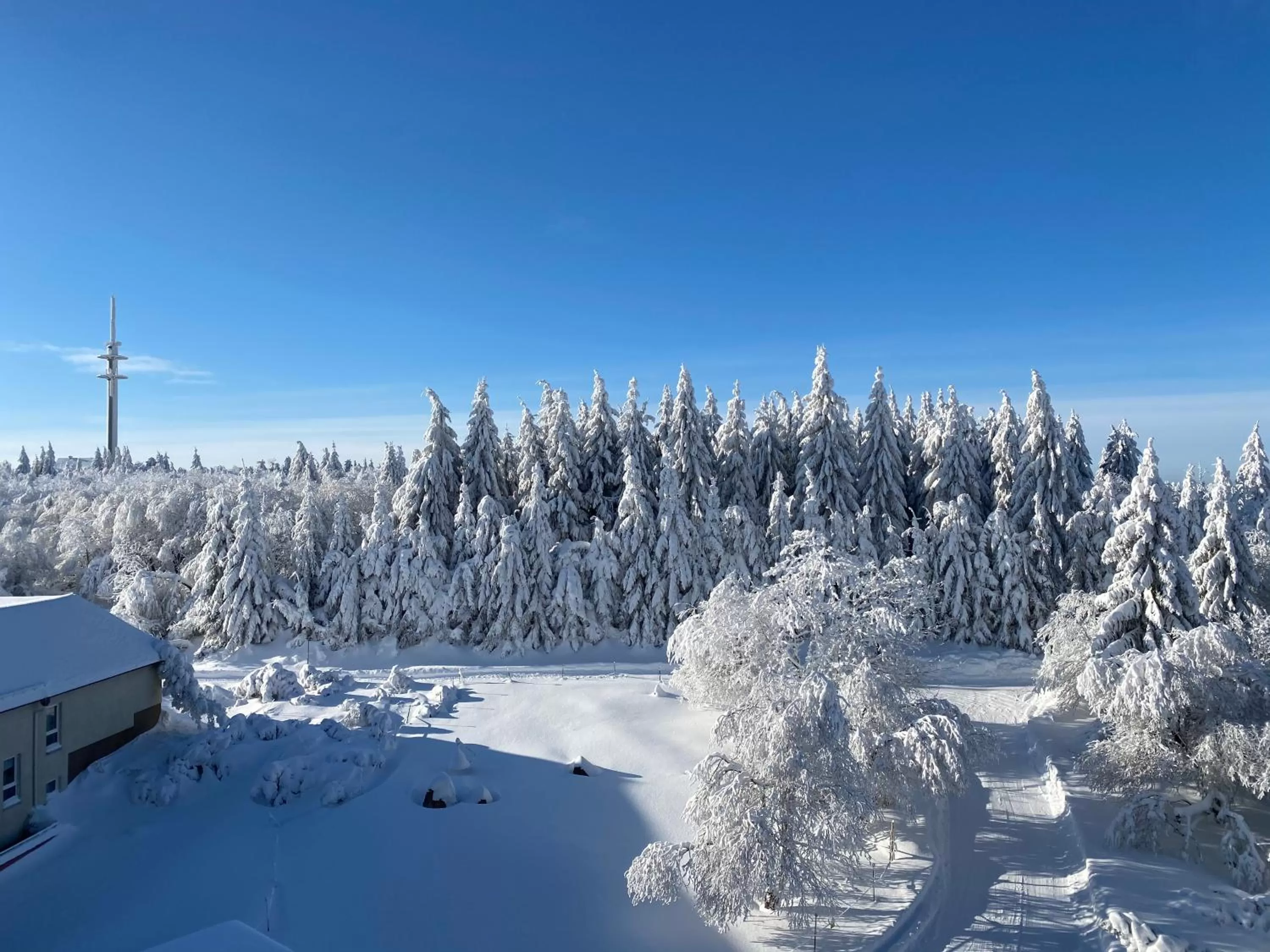 Property building in Hotel Lugsteinhof