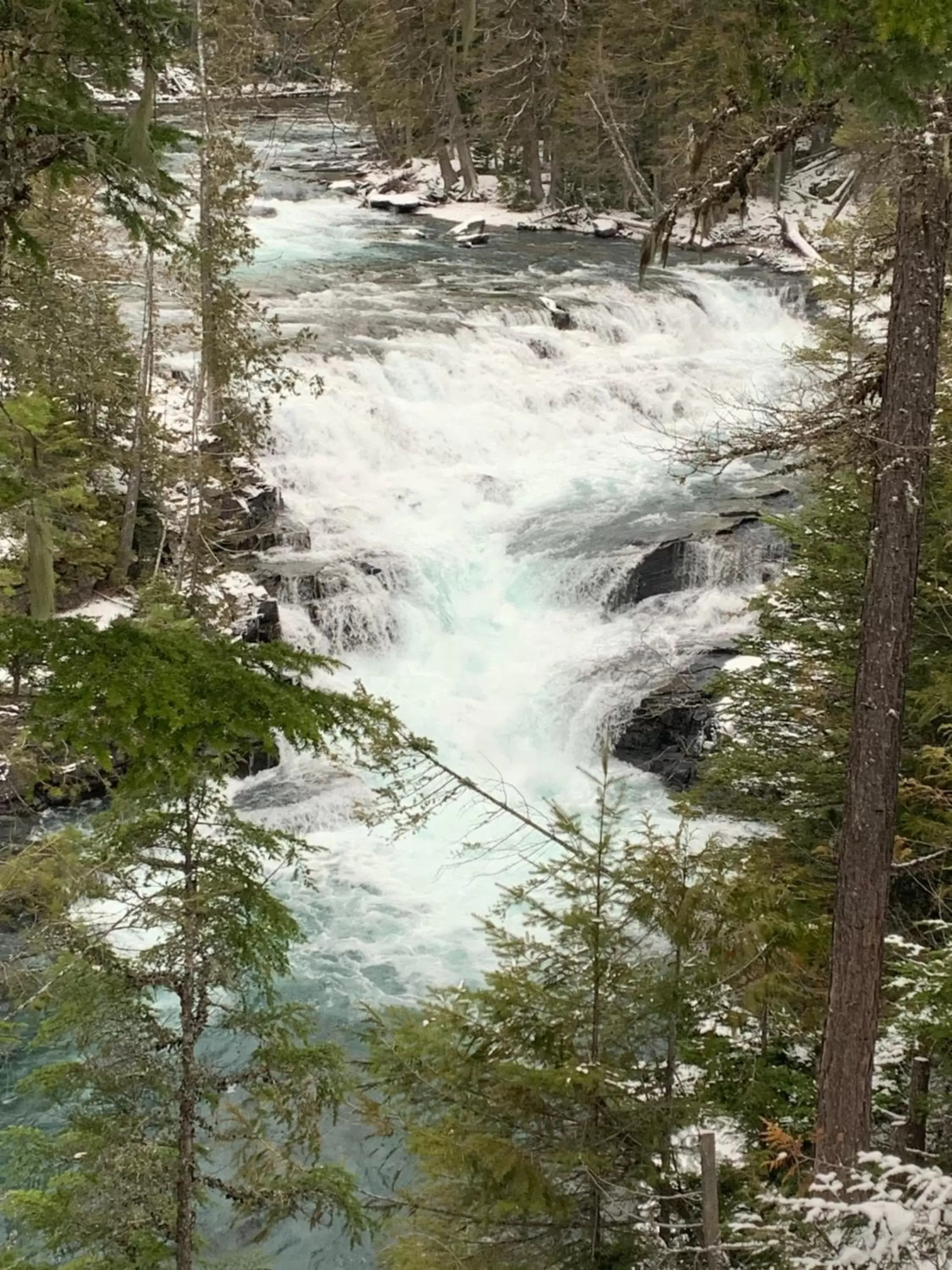 Natural landscape in Glacier Haven Inn