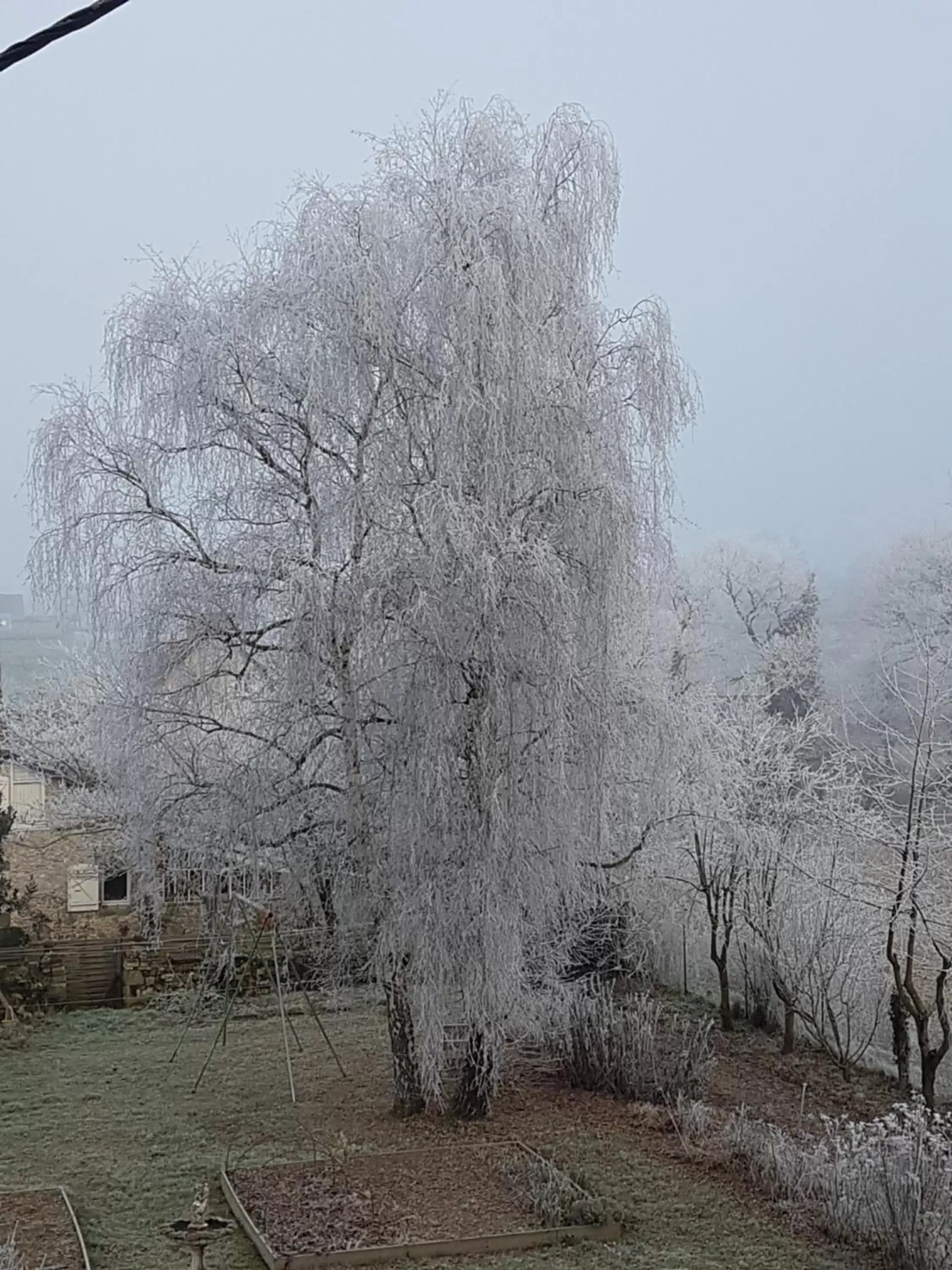 Winter in Le Manoir de la Bigotière