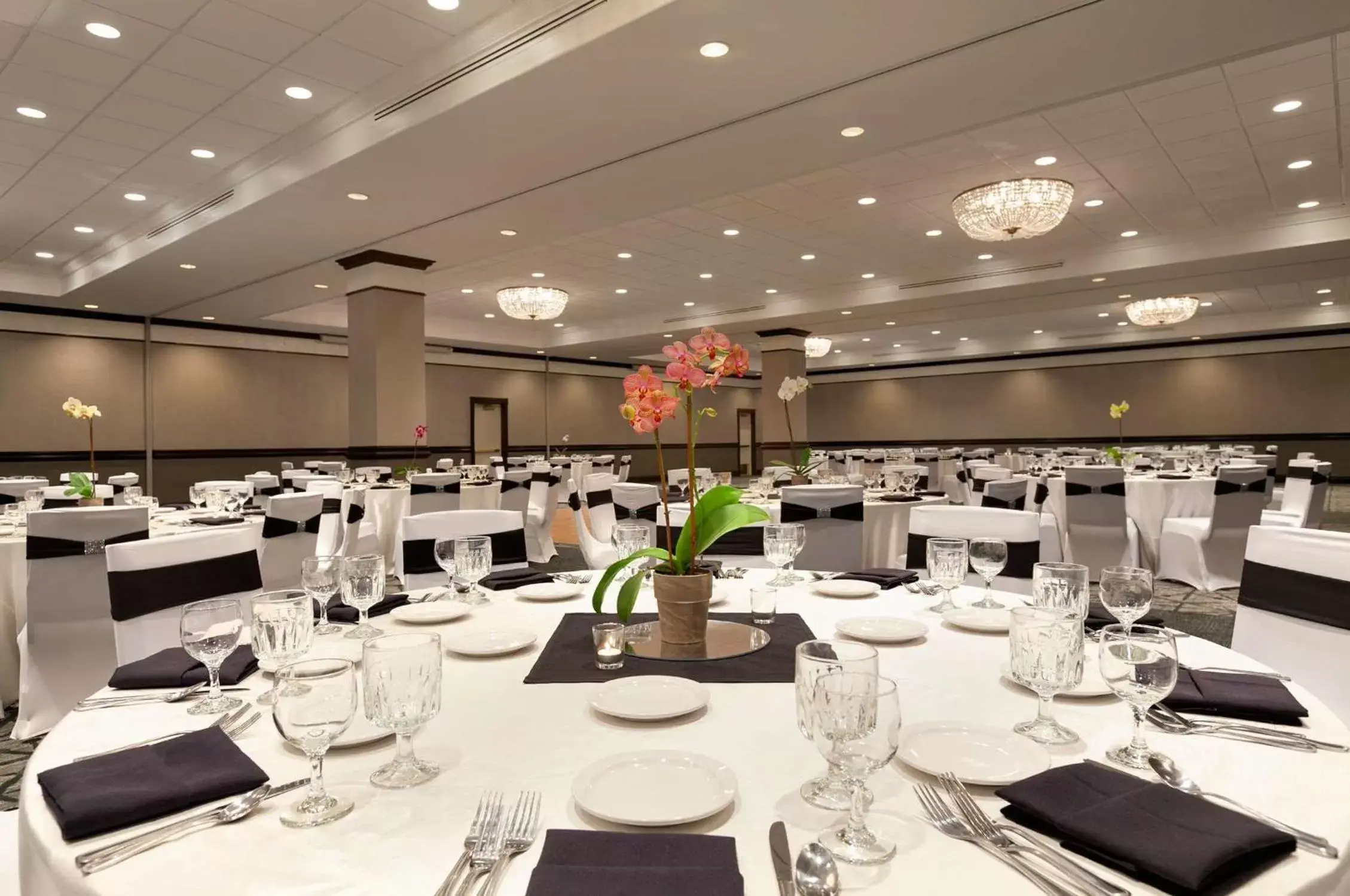 Meeting/conference room, Restaurant/Places to Eat in Embassy Suites San Francisco Airport - Waterfront