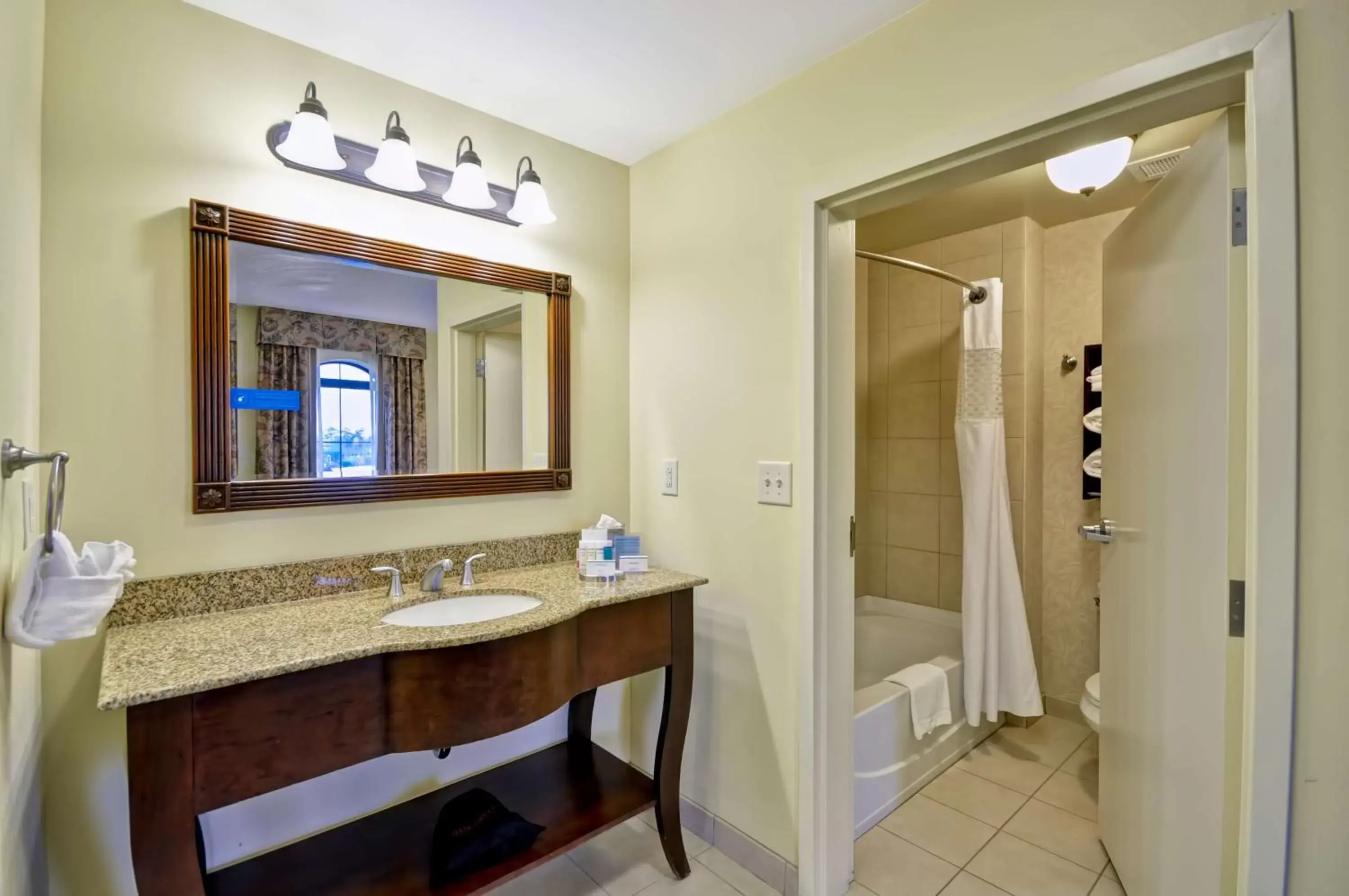 Bathroom in Hampton Inn & Suites North Charleston-University Boulevard