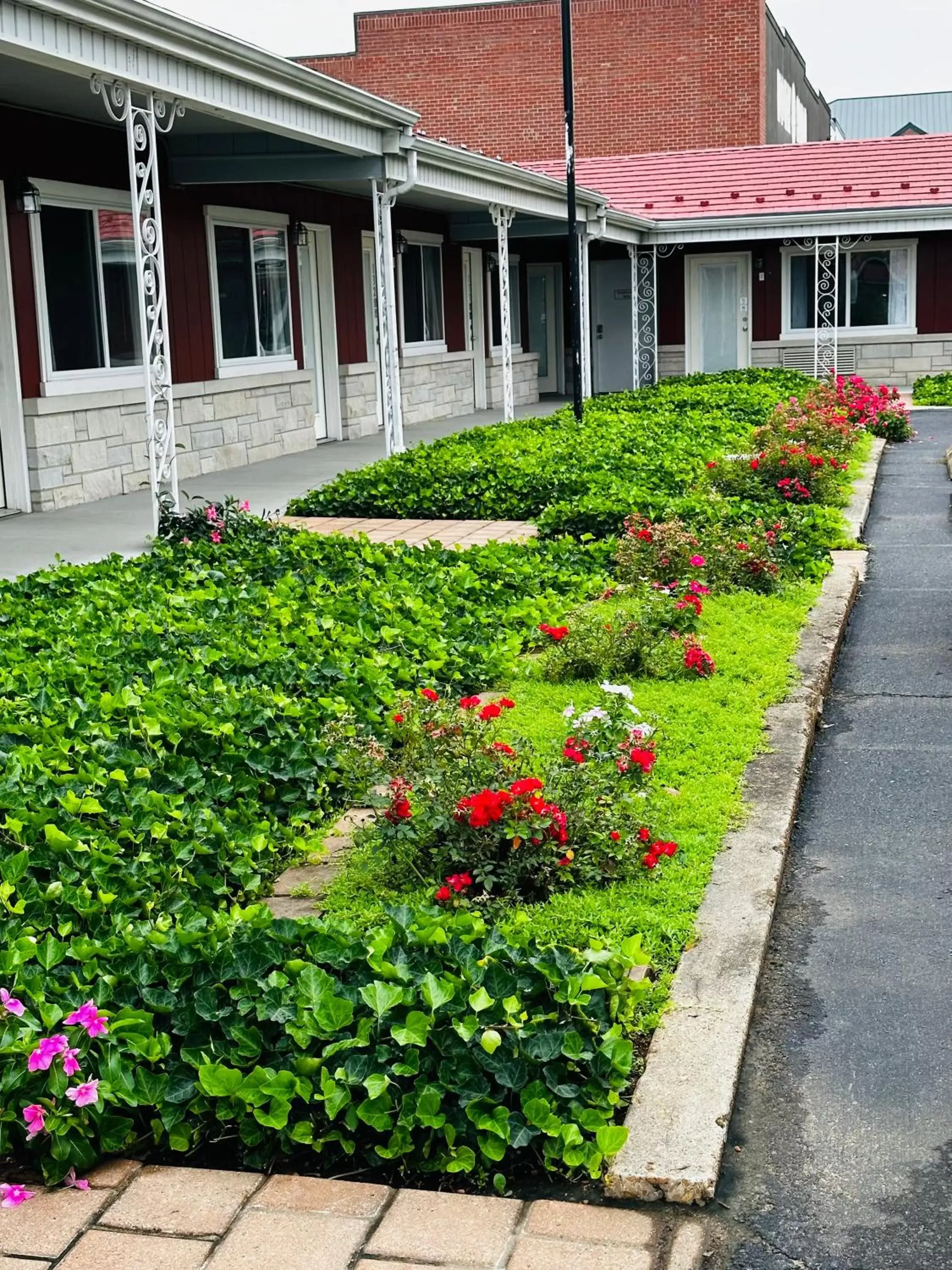 Garden view, Garden in Murray Inn and Art Gallery