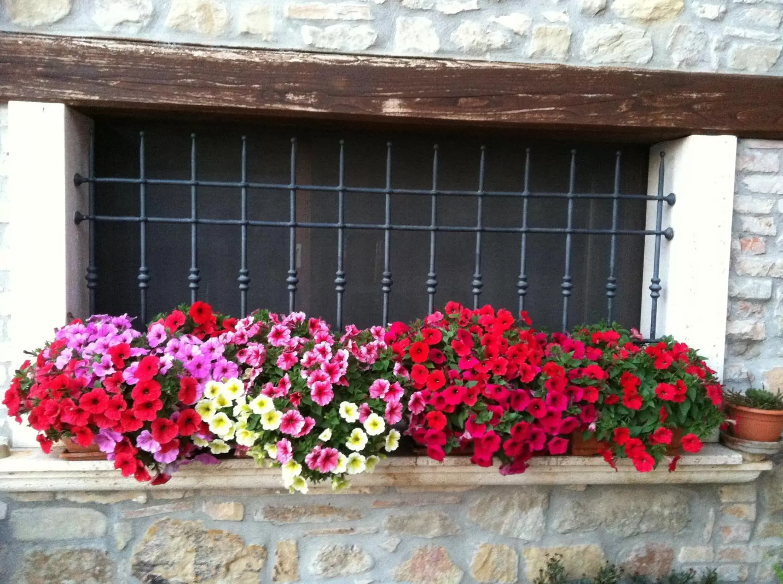 Facade/entrance in Agriturismo La Cantina