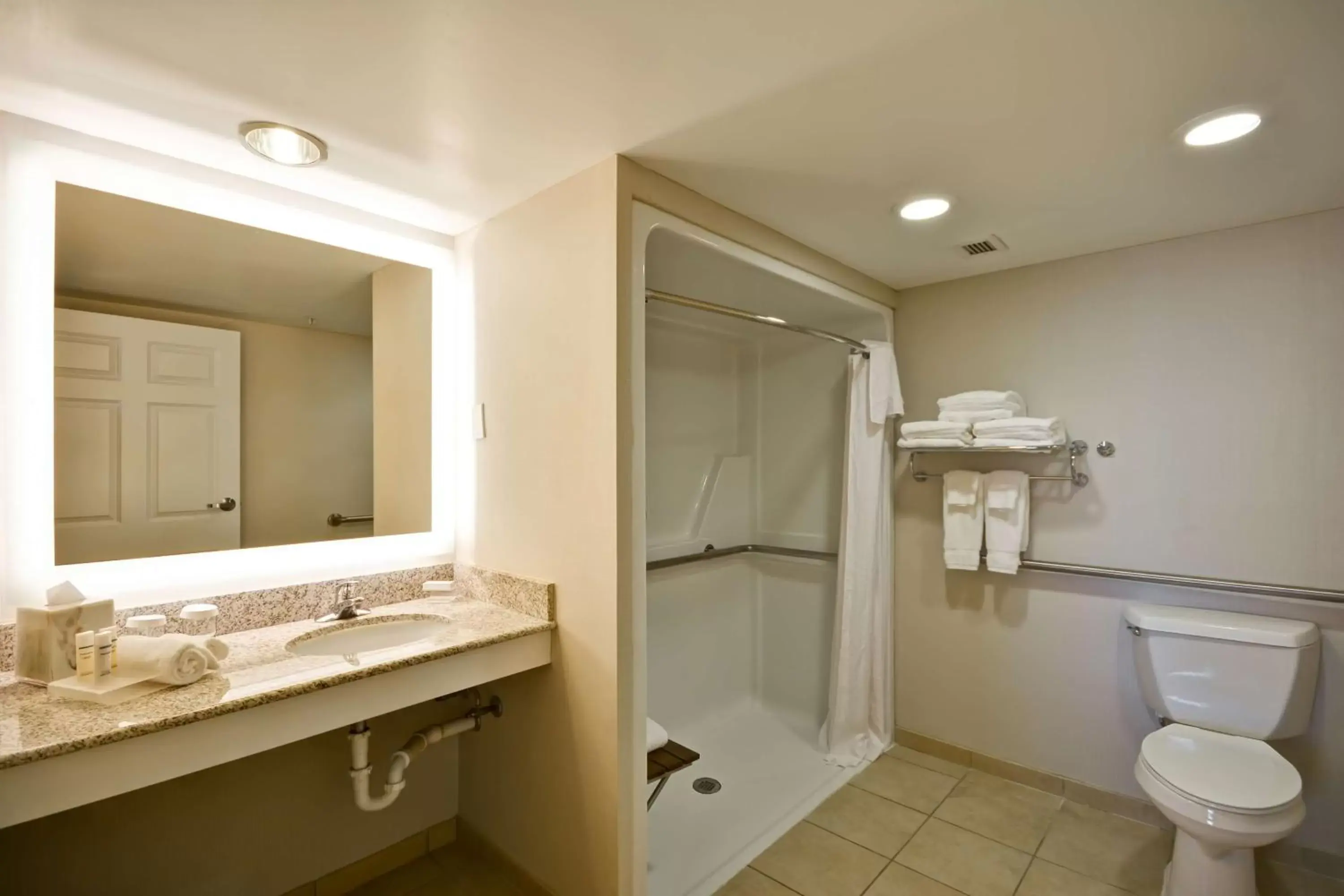 Bathroom in Homewood Suites Dulles-International Airport