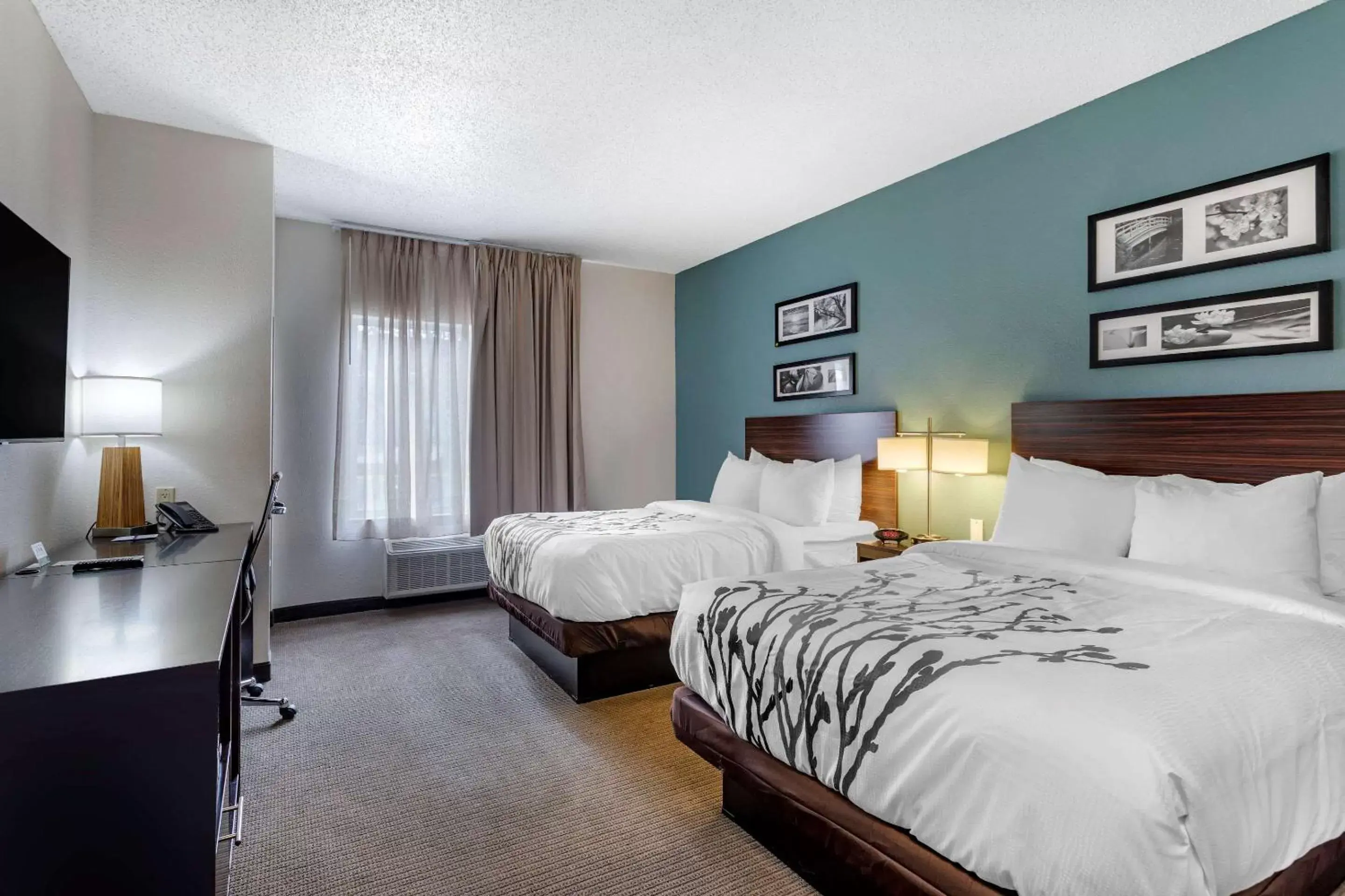 Photo of the whole room, Bed in Sleep Inn & Suites Lebanon - Nashville Area