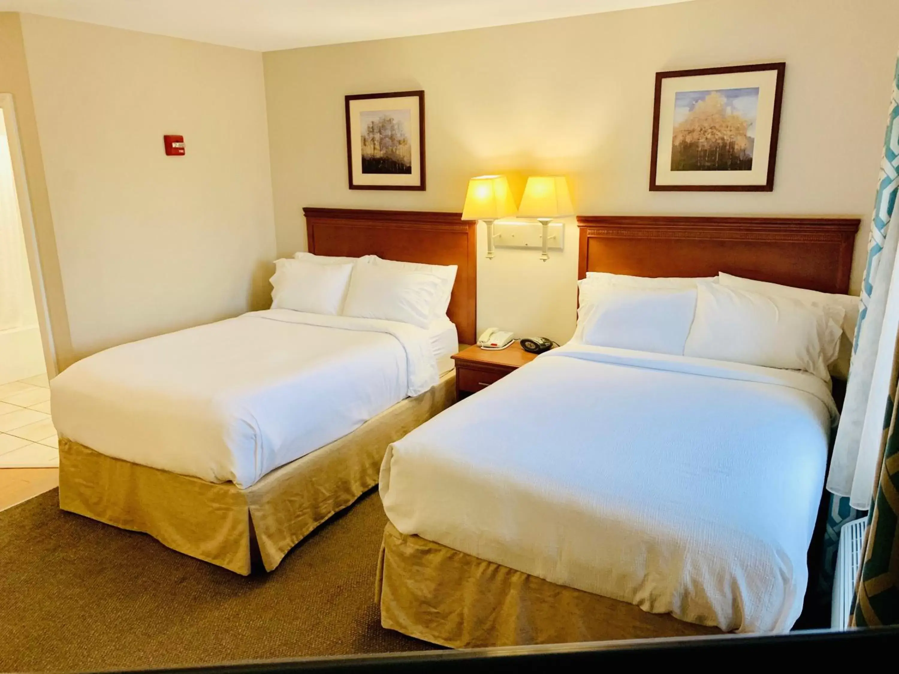 Photo of the whole room, Bed in Candlewood Suites Hot Springs, an IHG Hotel