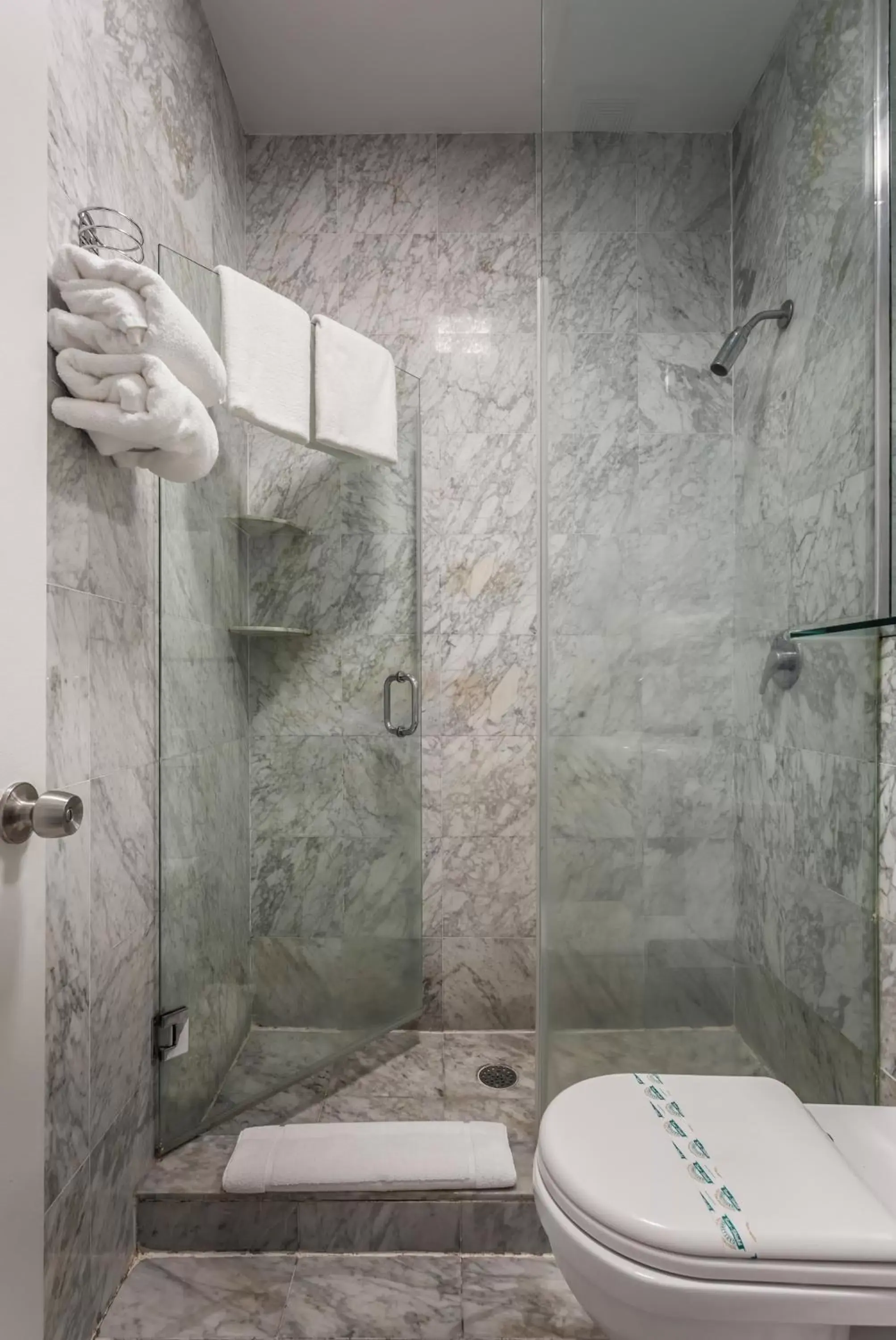 Shower, Bathroom in Century Hotel