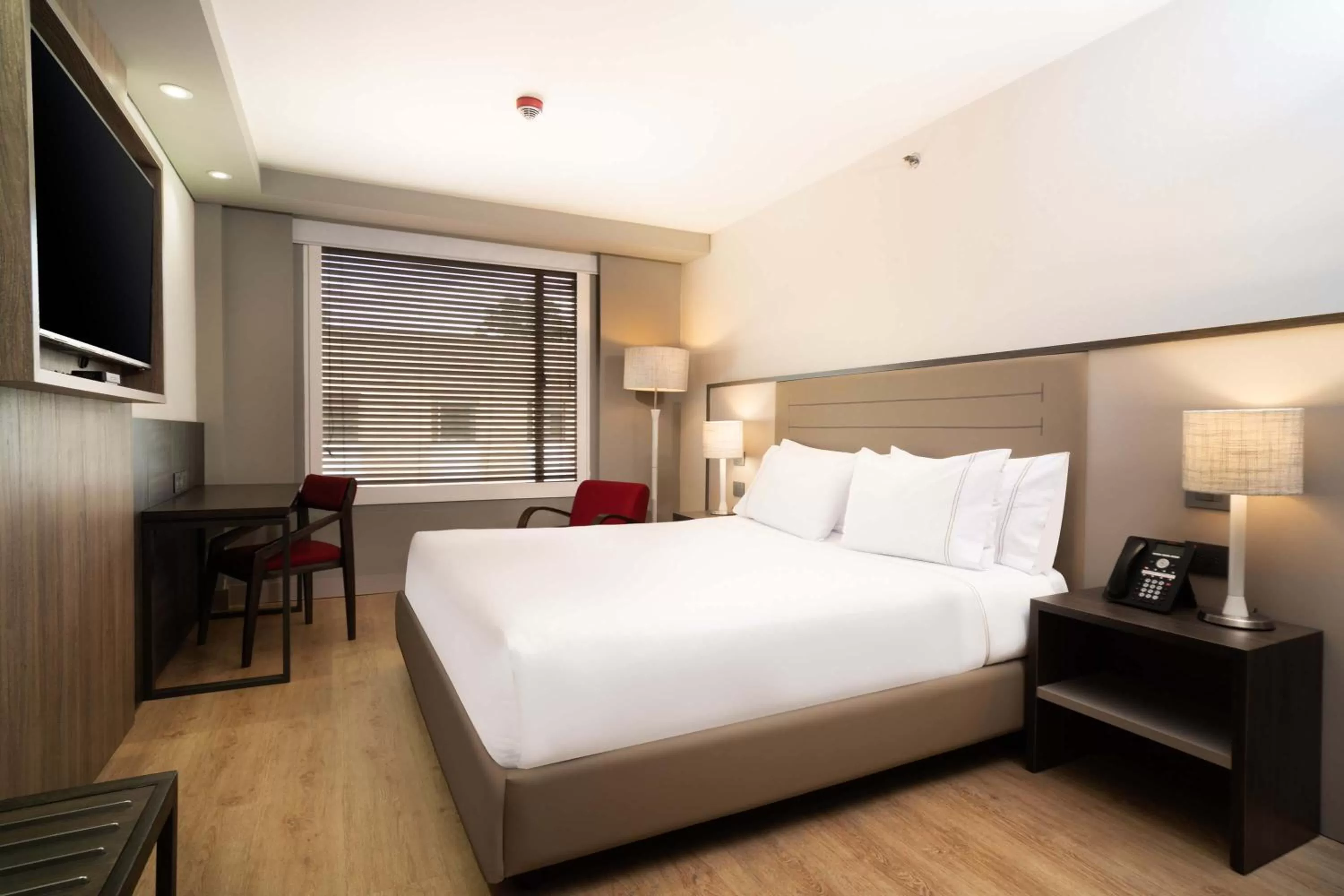 Double Room in Hotel Habitel Prime