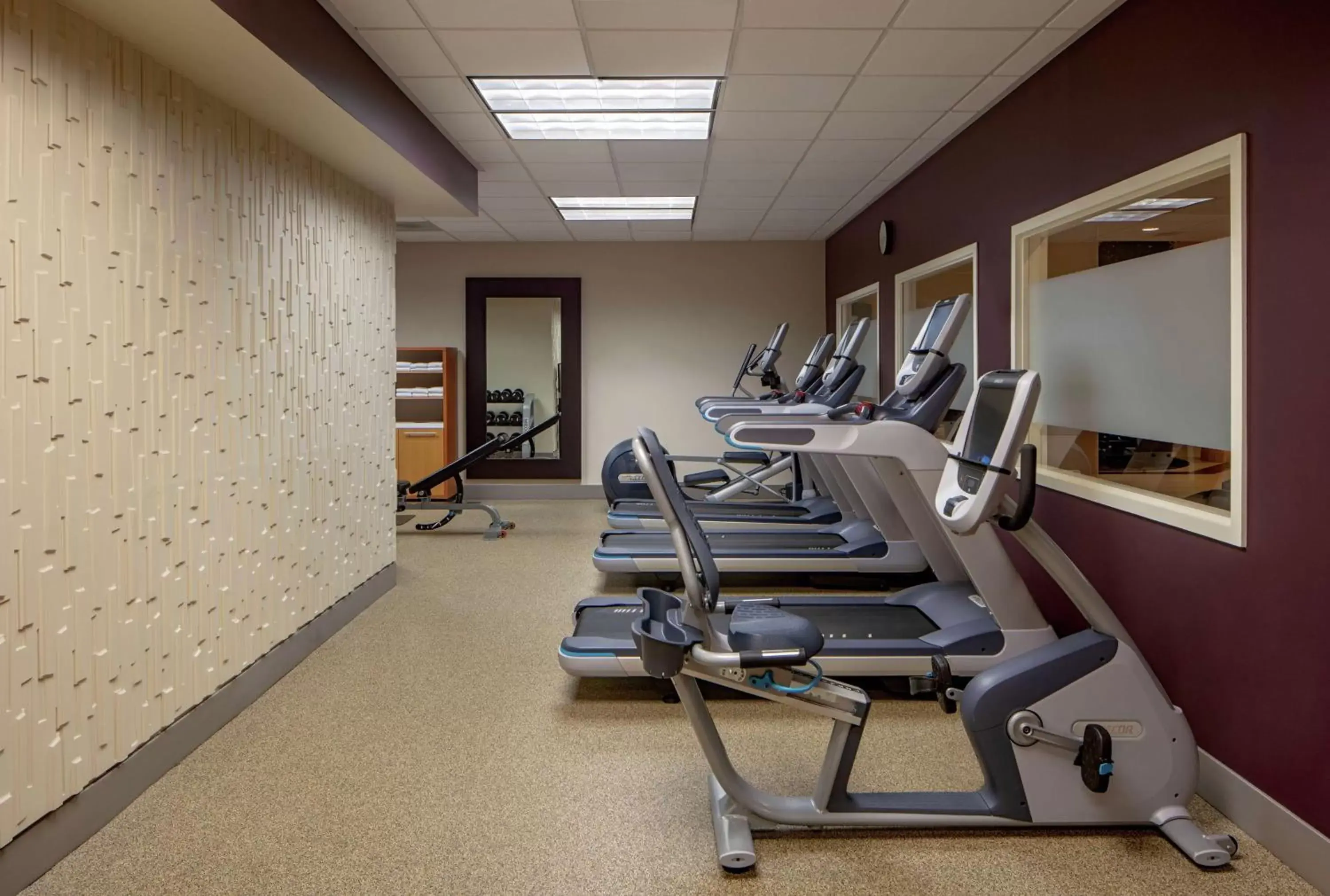 Fitness centre/facilities, Fitness Center/Facilities in Doubletree Suites by Hilton Salt Lake City
