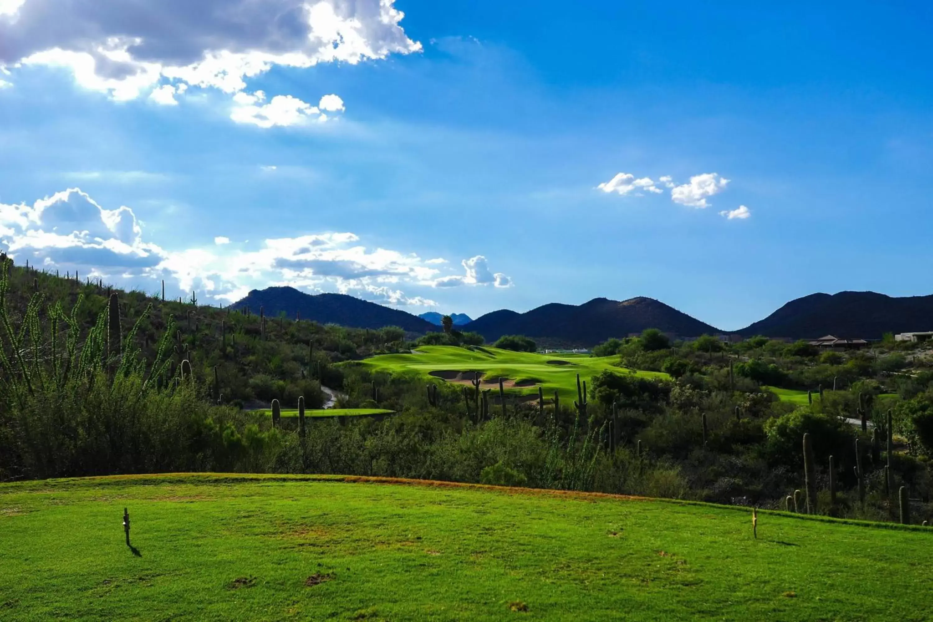 Golfcourse in JW Marriott Tucson Starr Pass Resort