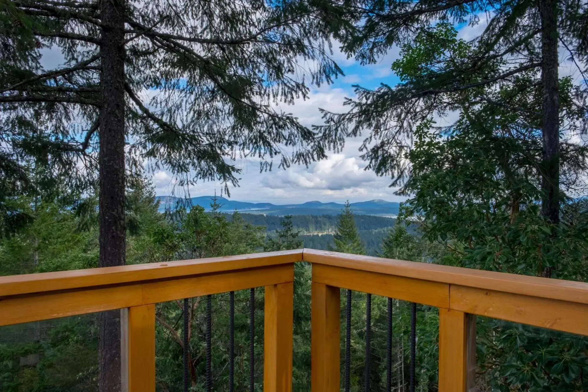 Balcony/Terrace in Armand Heights