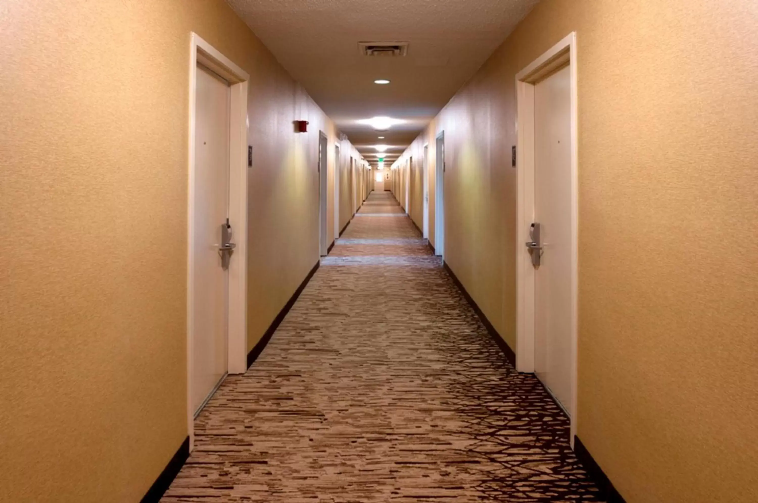Lobby or reception in Red Roof Inn Erie – I-90