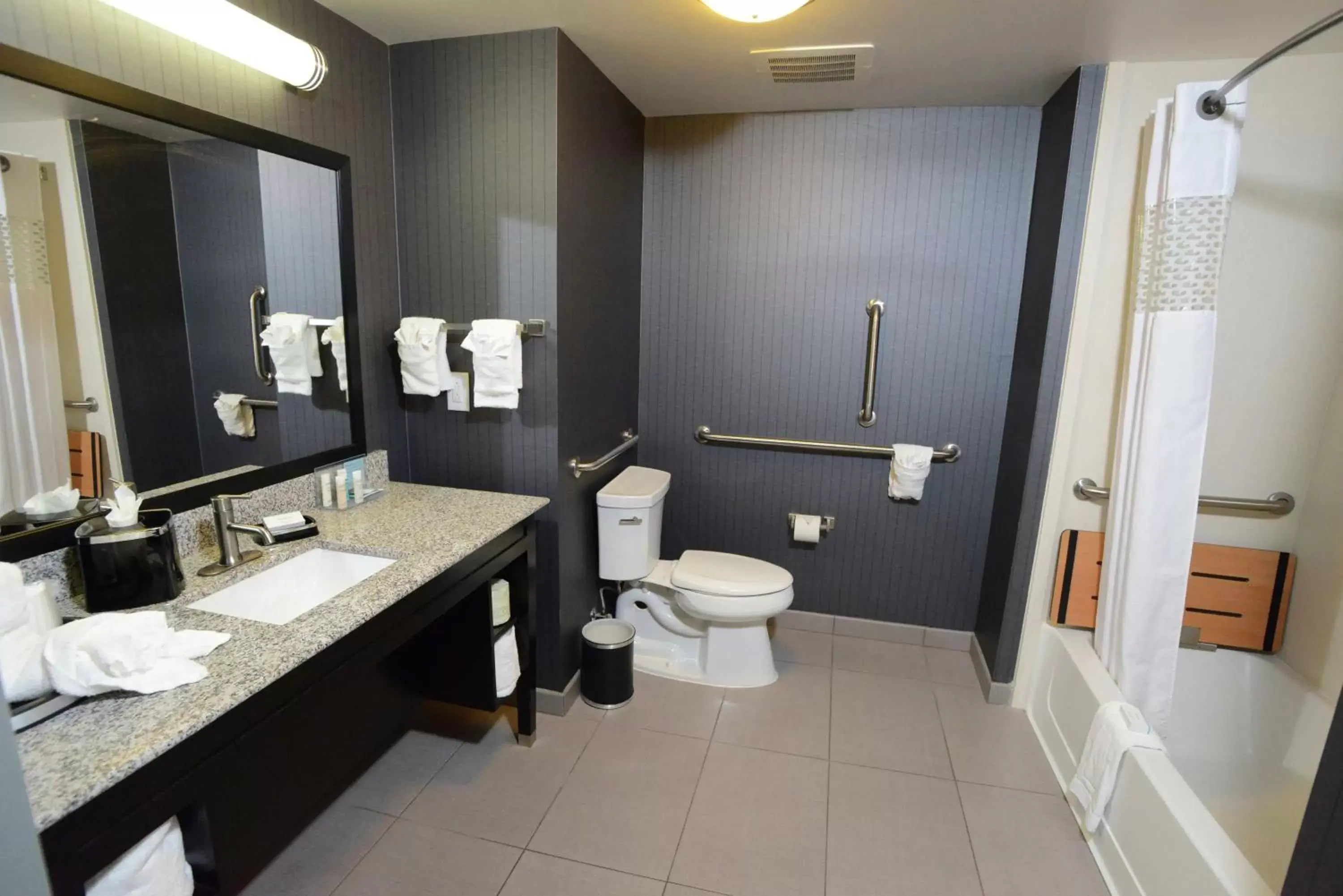 Bathroom in Hampton Inn & Suites Albany at Albany Mall