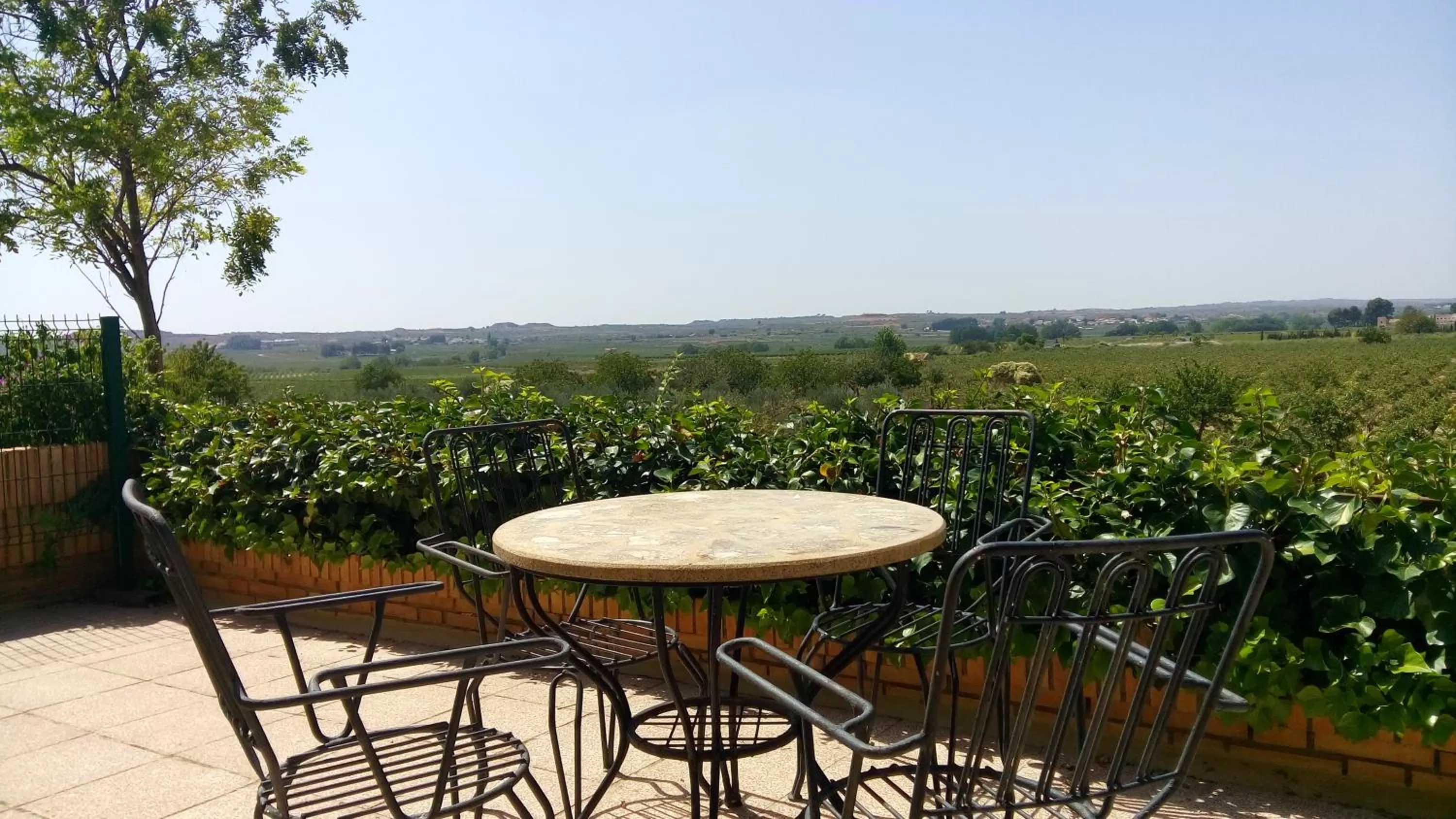 Garden in Hotel-Motel Sol II