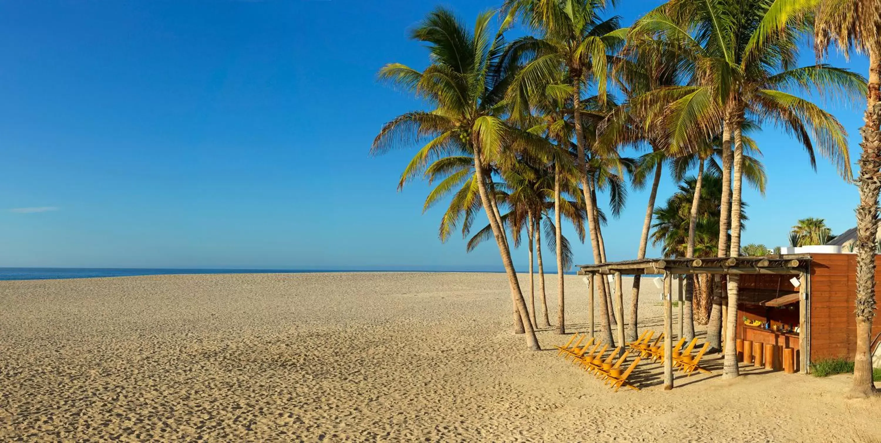 Beach in Paradisus Los Cabos All Inclusive