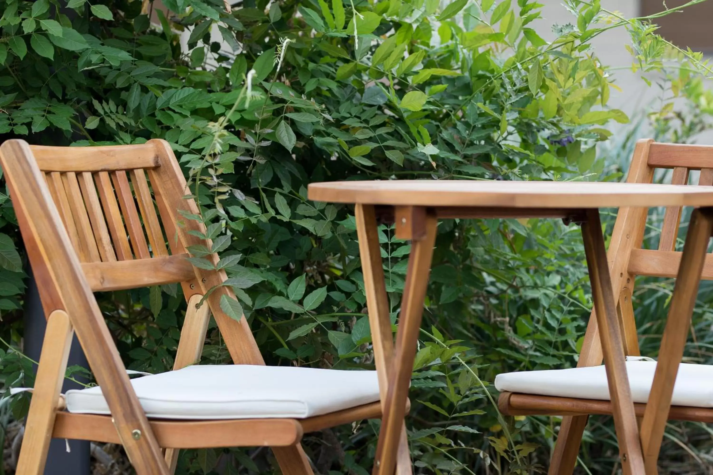 Patio in Vineyard Court Designer Suites Hotel