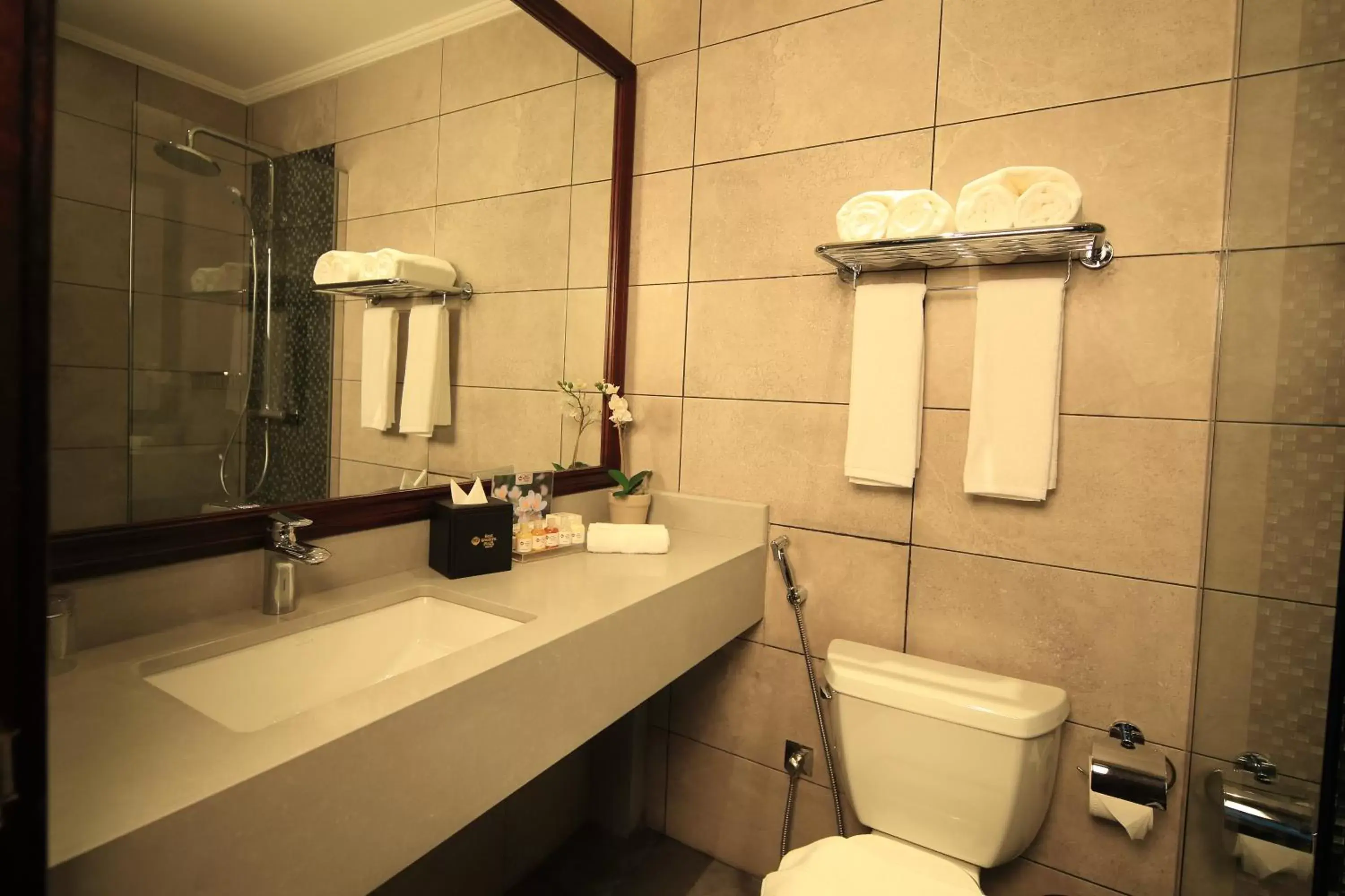 Toilet, Bathroom in Best Western Plus Fursan