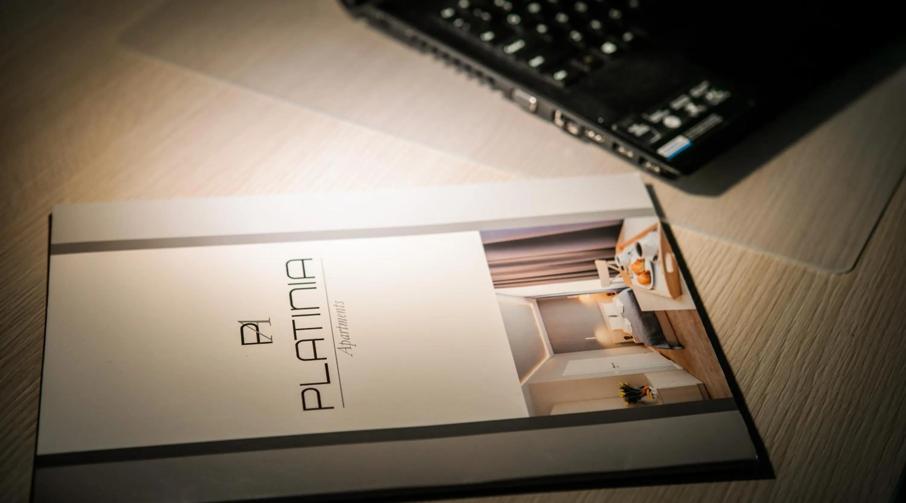 Decorative detail in Apartamenty Platinia - komfortowe noclegi Kraków Stare Miasto